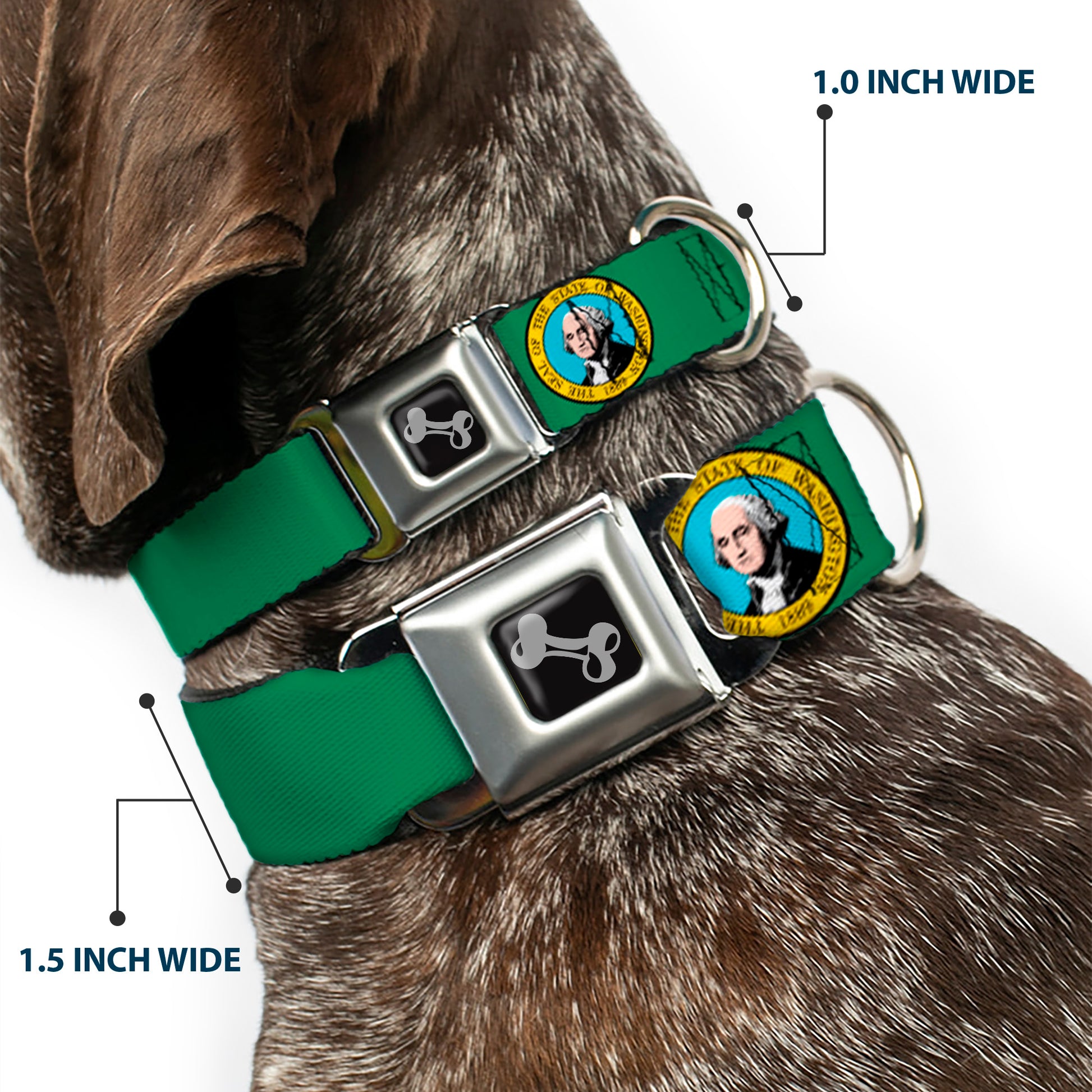 Dog Bone Seatbelt Buckle Collar - Washington Flag Seatbelt Buckle Collars Buckle-Down
