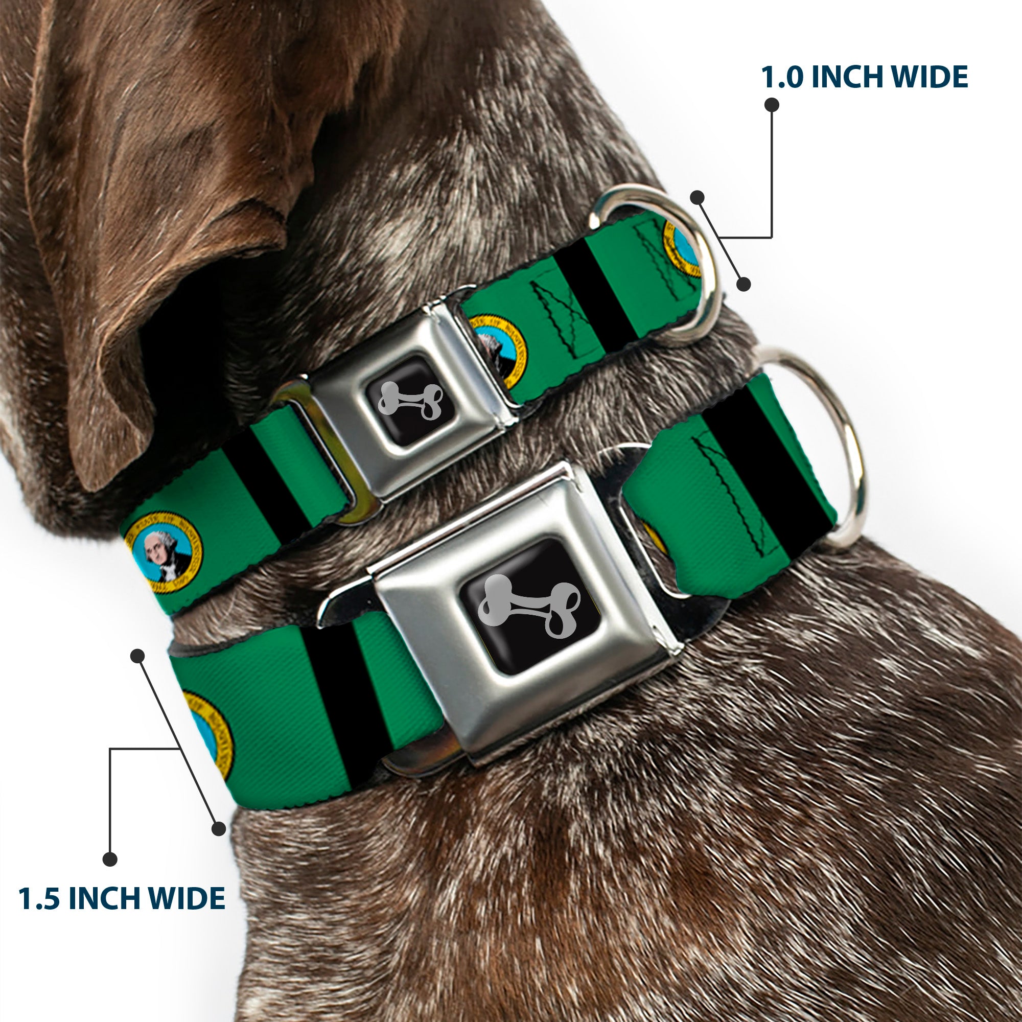 Dog Bone Seatbelt Buckle Collar - Washington Flags/Black Seatbelt Buckle Collars Buckle-Down
