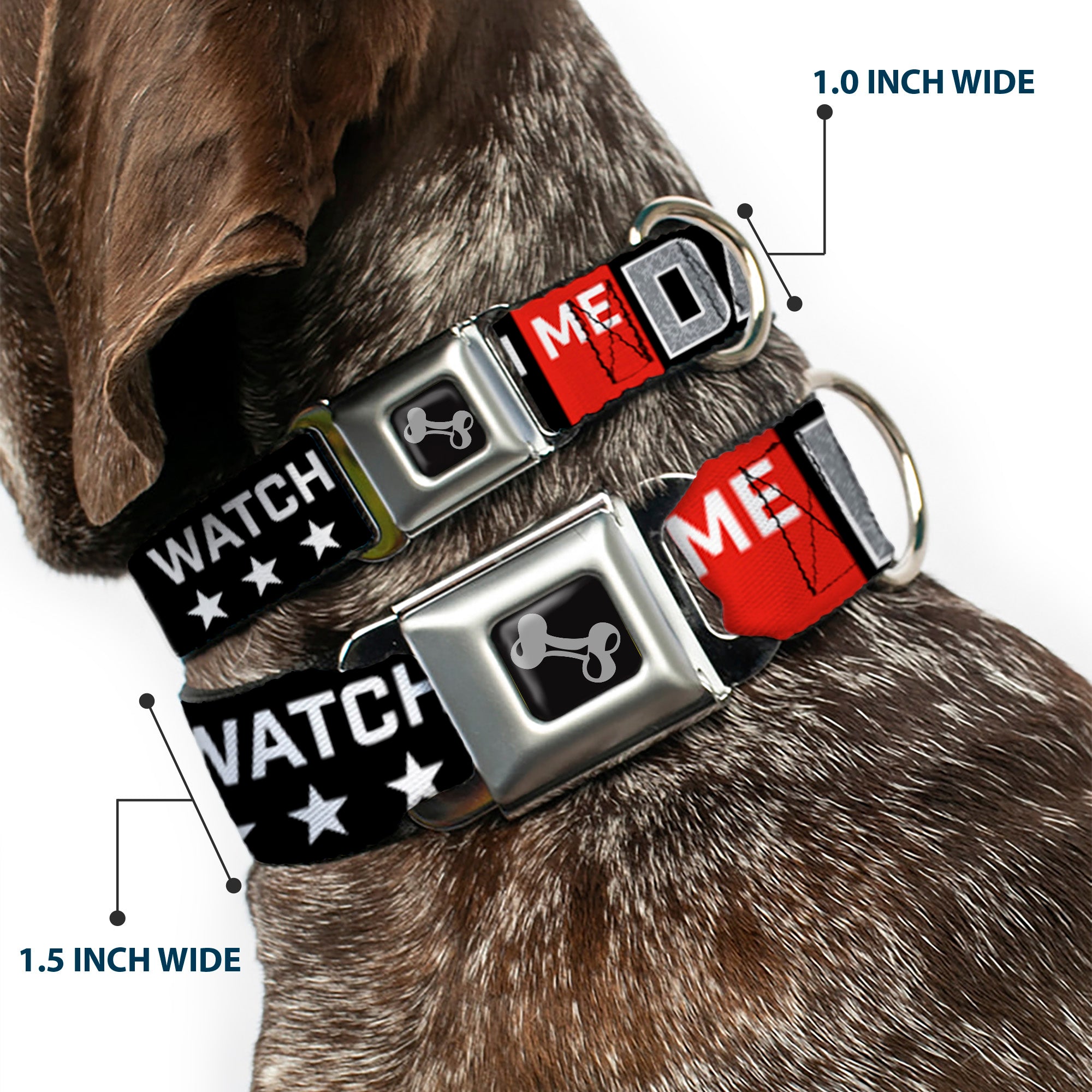 Dog Bone Seatbelt Buckle Collar - WATCH ME DAB/Stars Black/Red/White/Crackle Gray Seatbelt Buckle Collars Buckle-Down