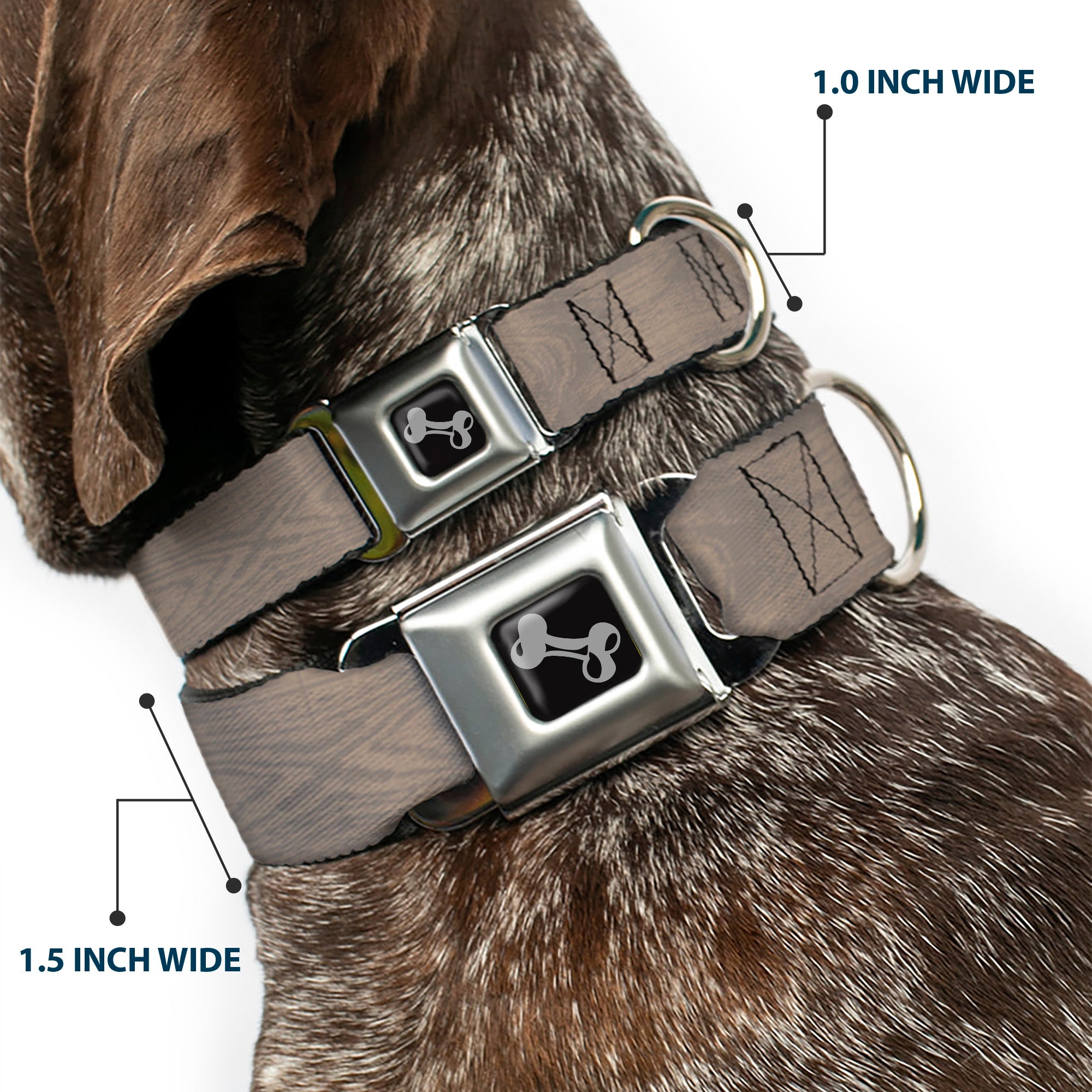 Dog Bone Seatbelt Buckle Collar - Wood Grain White Oak Seatbelt Buckle Collars Buckle-Down