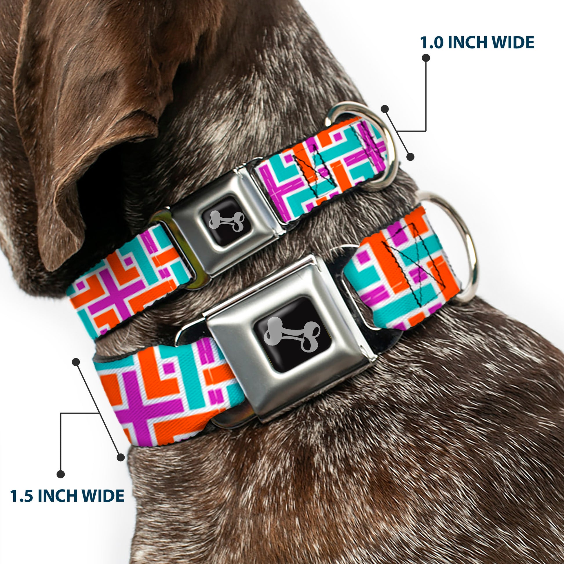 Dog Bone Black/Silver Seatbelt Buckle Collar - Weave CLOSE-UP White/Pink/Orange/Aqua Seatbelt Buckle Collars Buckle-Down