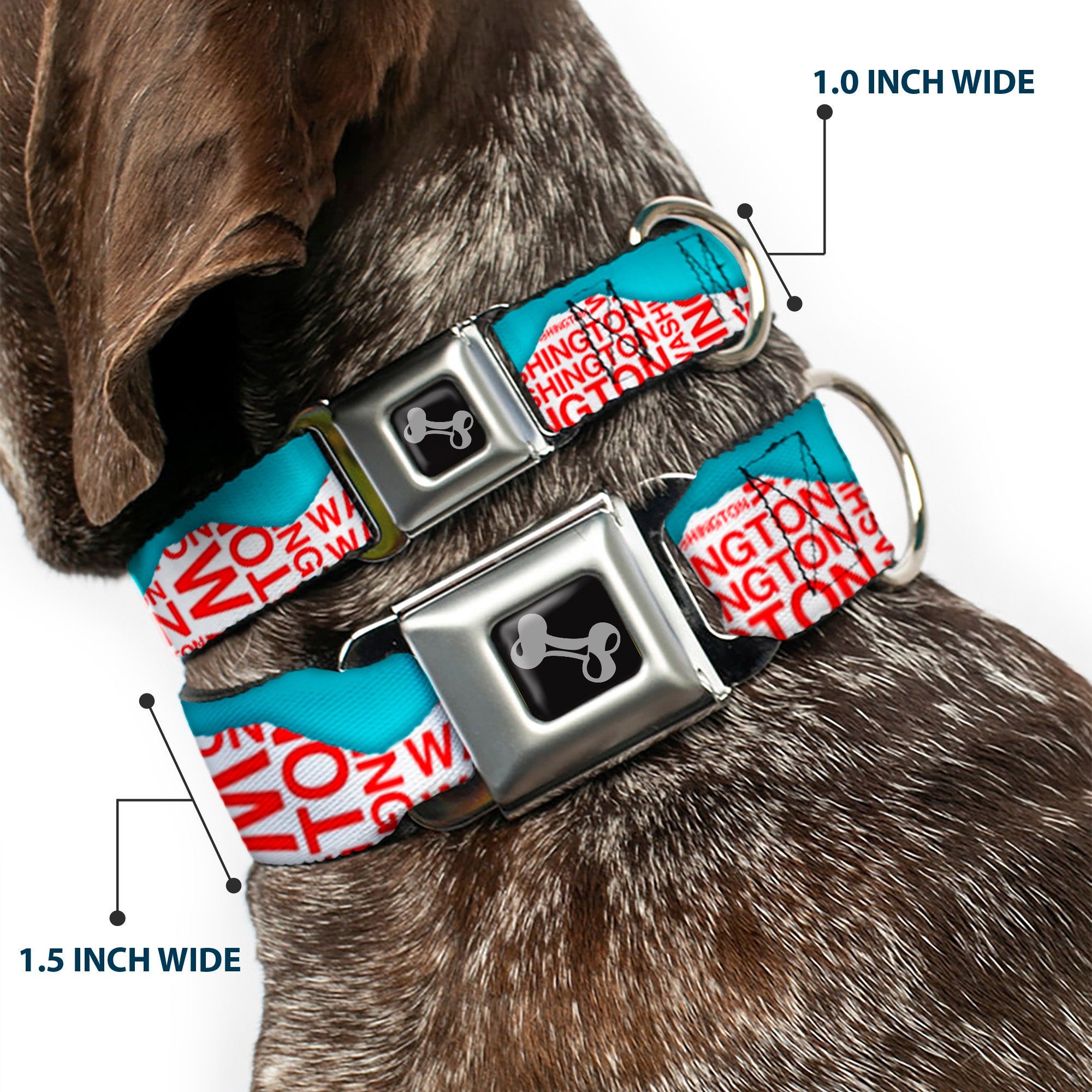 Dog Bone Seatbelt Buckle Collar - WASHINGTON Mountain Range Turquoise/White/Red Seatbelt Buckle Collars Buckle-Down
