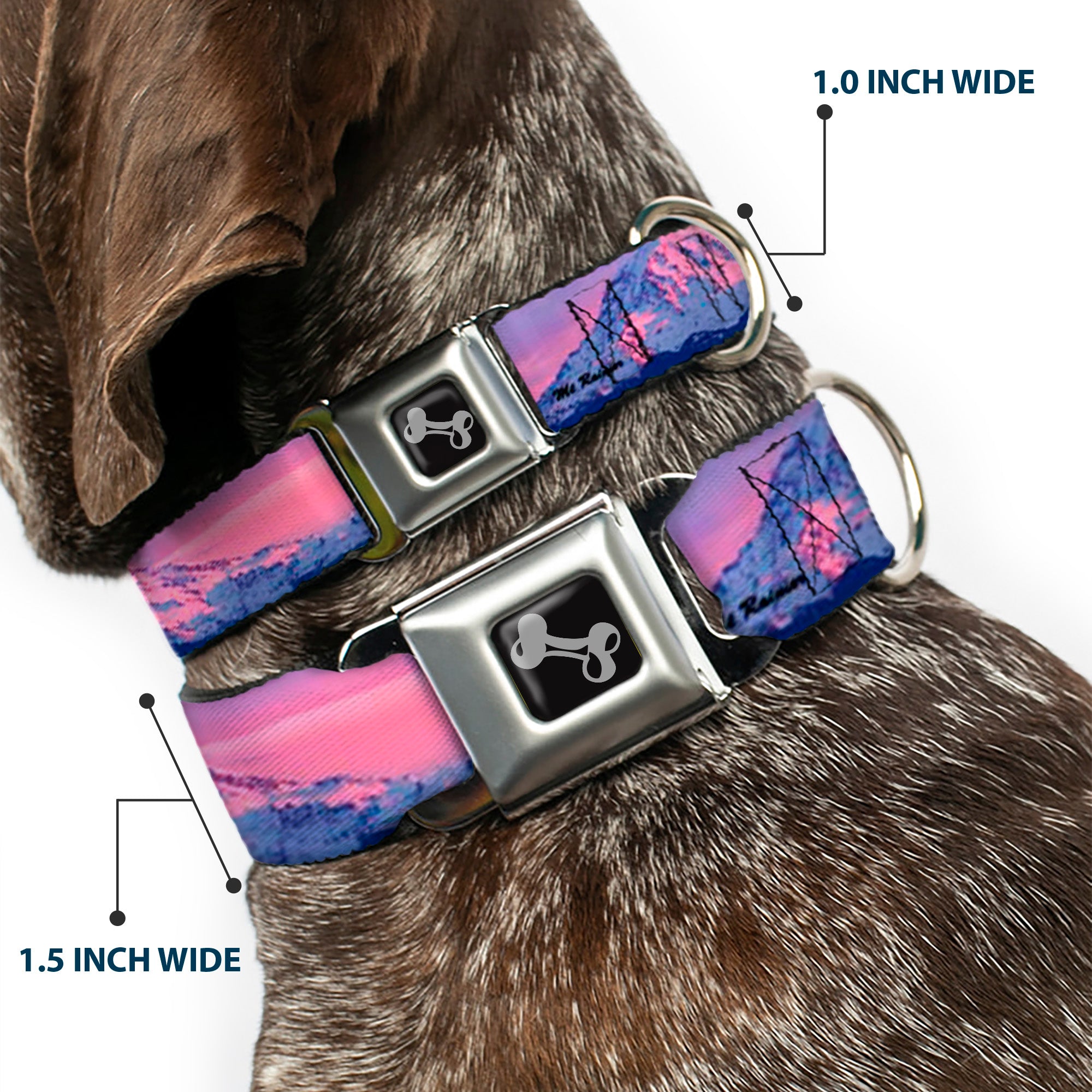 Dog Bone Seatbelt Buckle Collar - Washington MT. RAINIER Sunset Landscape Seatbelt Buckle Collars Buckle-Down