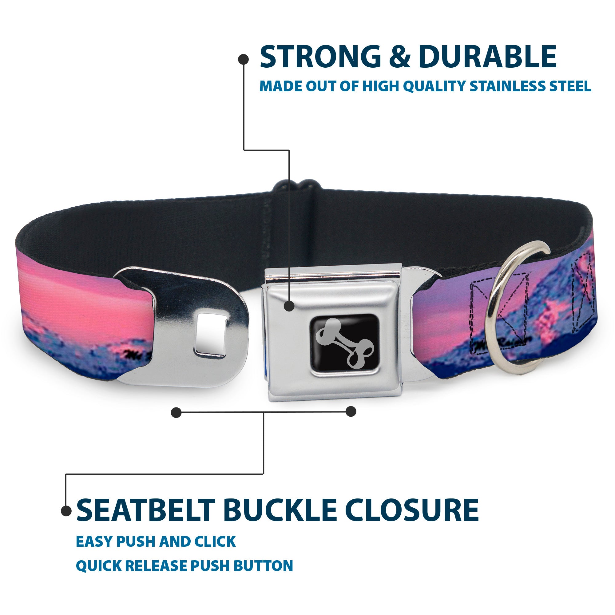 Dog Bone Seatbelt Buckle Collar - Washington MT. RAINIER Sunset Landscape Seatbelt Buckle Collars Buckle-Down