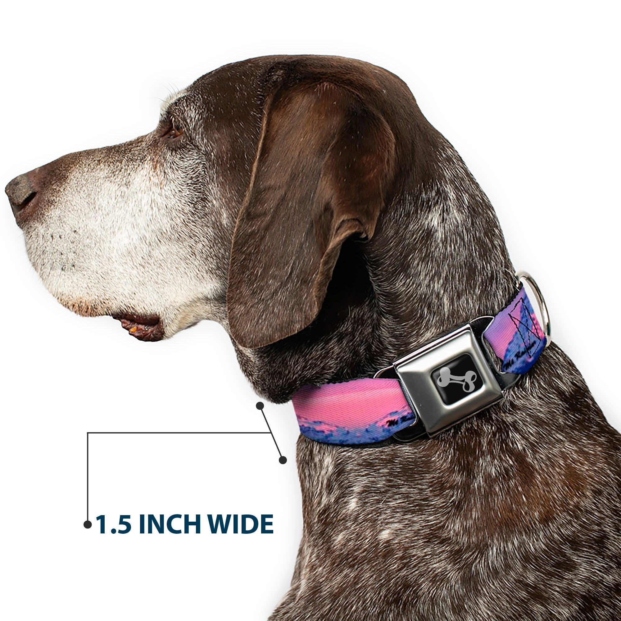 Dog Bone Seatbelt Buckle Collar - Washington MT. RAINIER Sunset Landscape Seatbelt Buckle Collars Buckle-Down