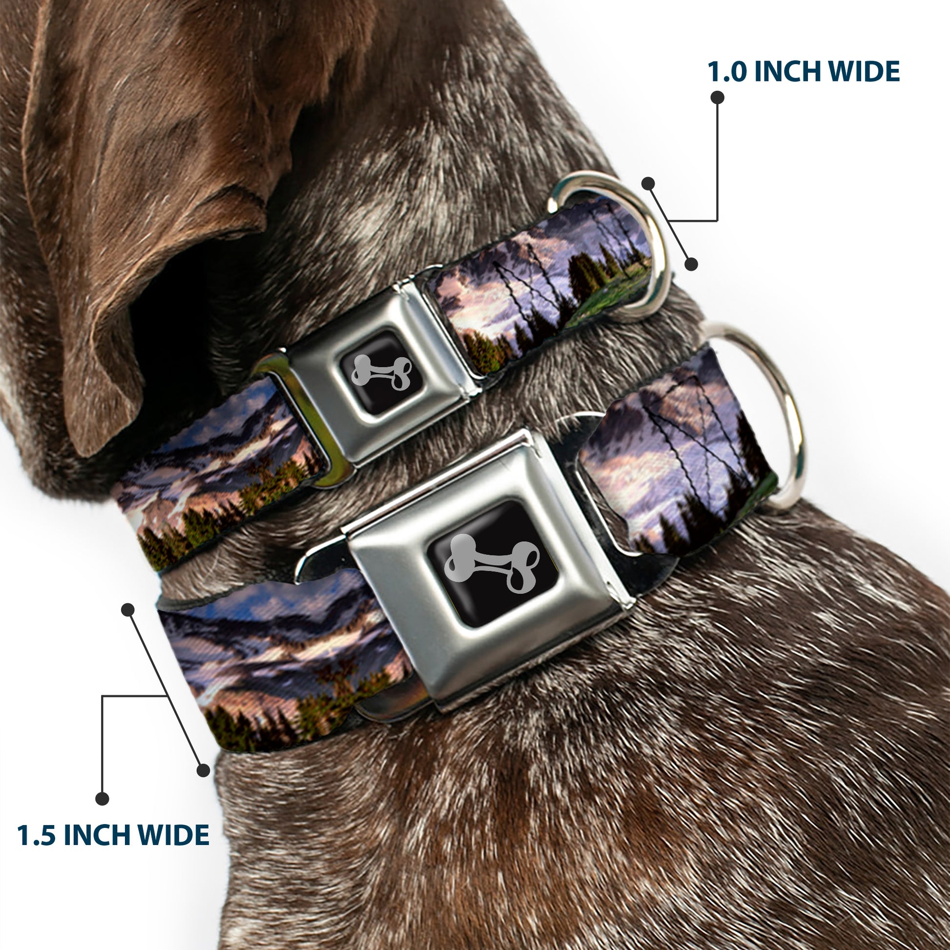 Dog Bone Seatbelt Buckle Collar - Washington MT. RAINIER Valley Landscape Seatbelt Buckle Collars Buckle-Down