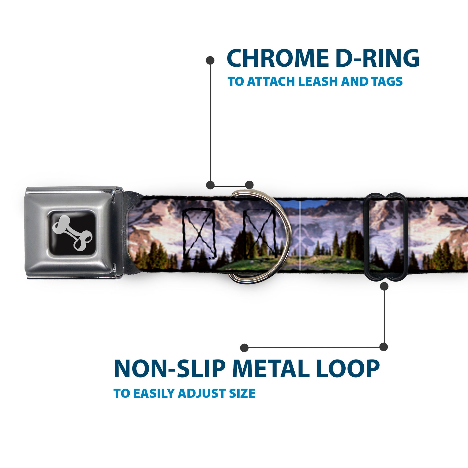 Dog Bone Seatbelt Buckle Collar - Washington MT. RAINIER Valley Landscape Seatbelt Buckle Collars Buckle-Down