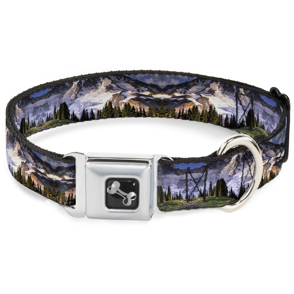 Dog Bone Seatbelt Buckle Collar - Washington MT. RAINIER Valley Landscape Seatbelt Buckle Collars Buckle-Down