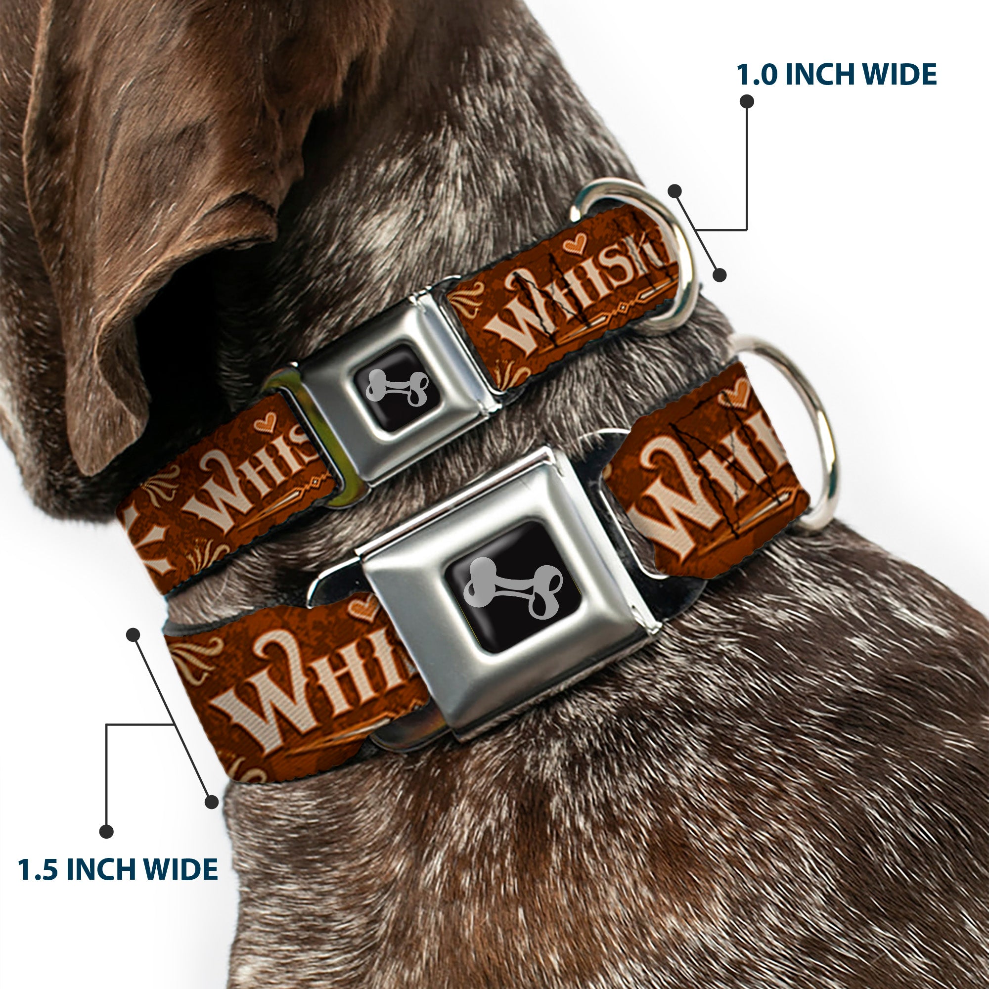 Dog Bone Black/Silver Seatbelt Buckle Collar - Western WHISKEY Heart Repeat Browns/Tan Seatbelt Buckle Collars Buckle-Down