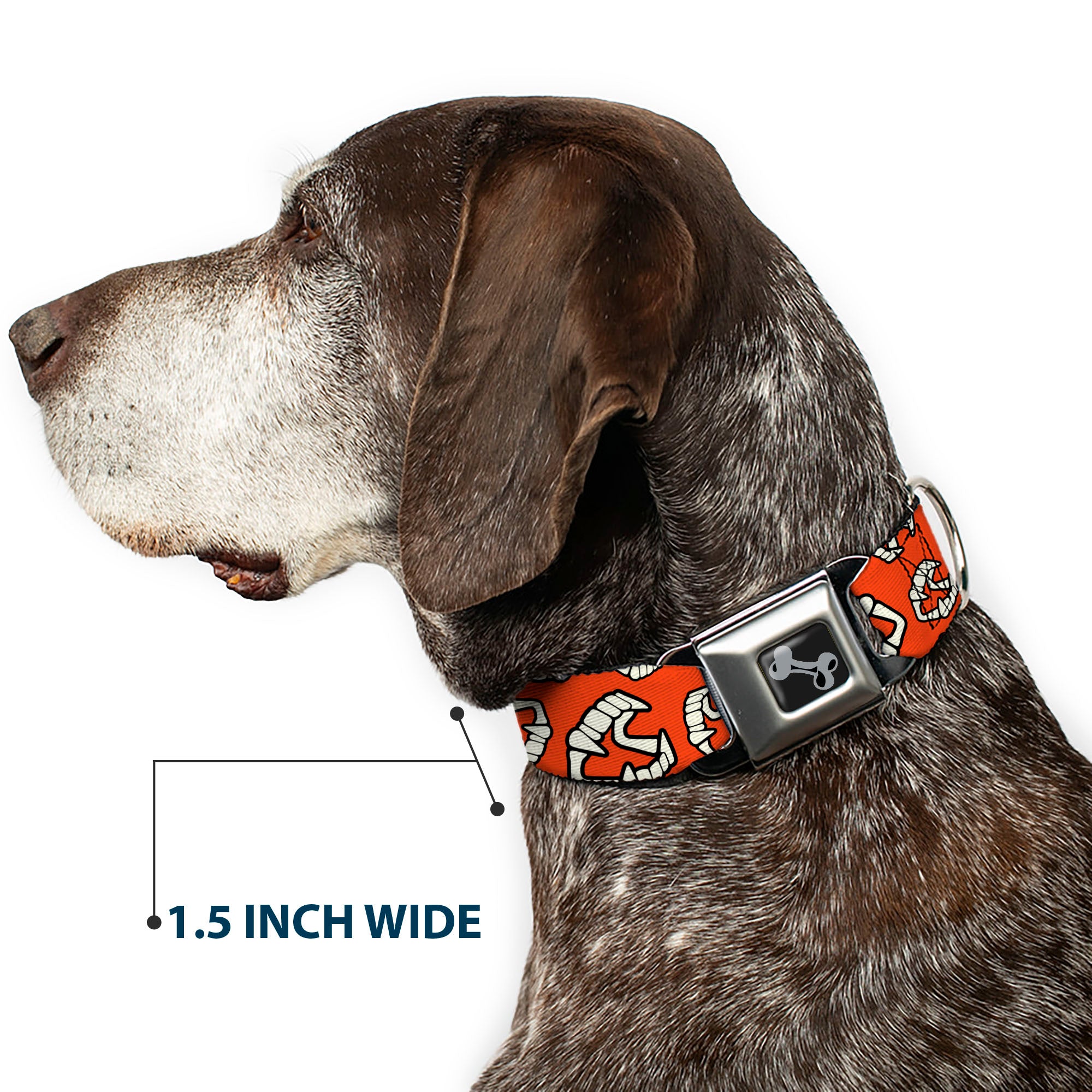 Dog Bone Black/Silver Seatbelt Buckle Collar - Wax Fangs Scattered Red/White Seatbelt Buckle Collars Buckle-Down