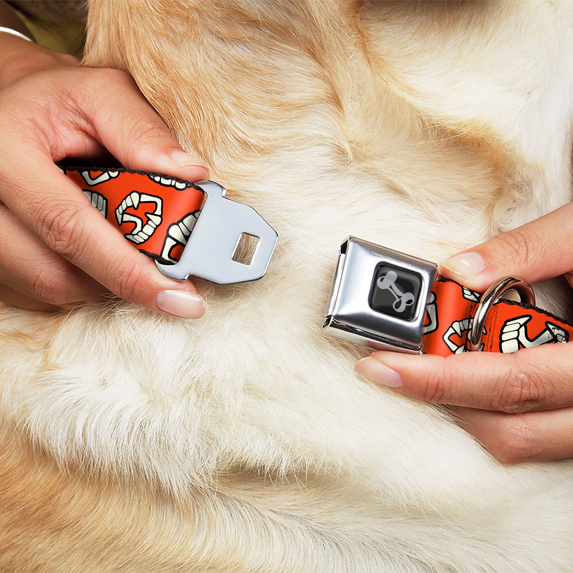 Dog Bone Black/Silver Seatbelt Buckle Collar - Wax Fangs Scattered Red/White Seatbelt Buckle Collars Buckle-Down