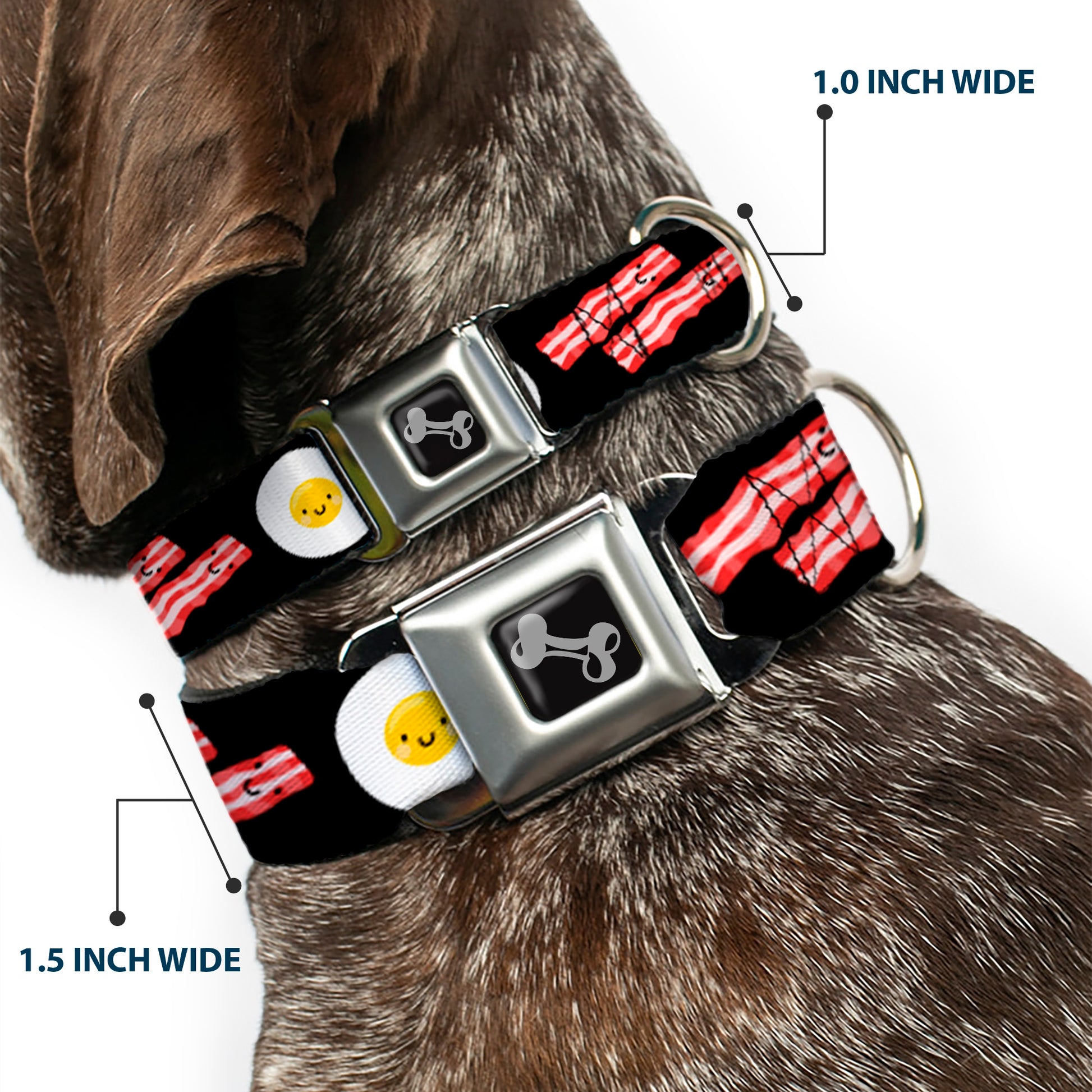 Dog Bone Seatbelt Buckle Collar - Bacon & Eggs Black Seatbelt Buckle Collars Buckle-Down