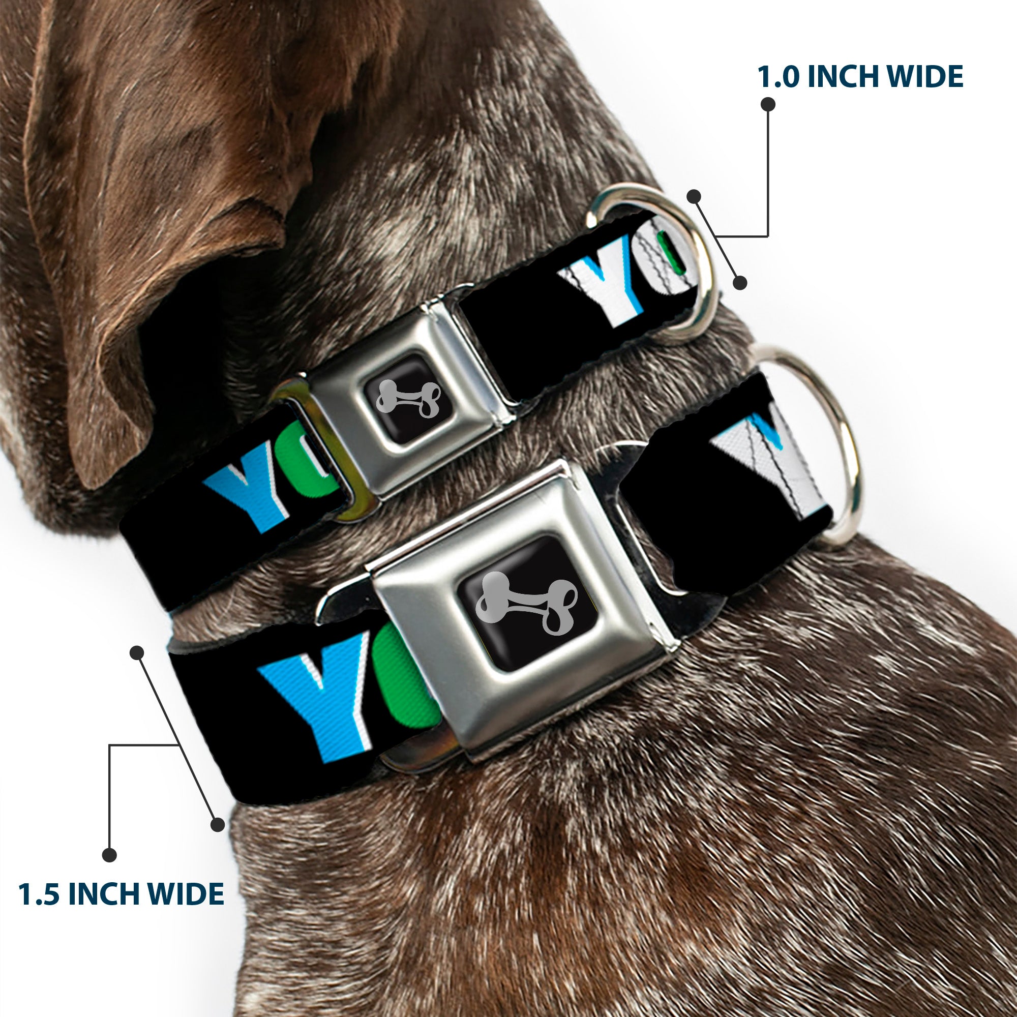 Dog Bone Seatbelt Buckle Collar - YOLO Black/Multi Color Seatbelt Buckle Collars Buckle-Down