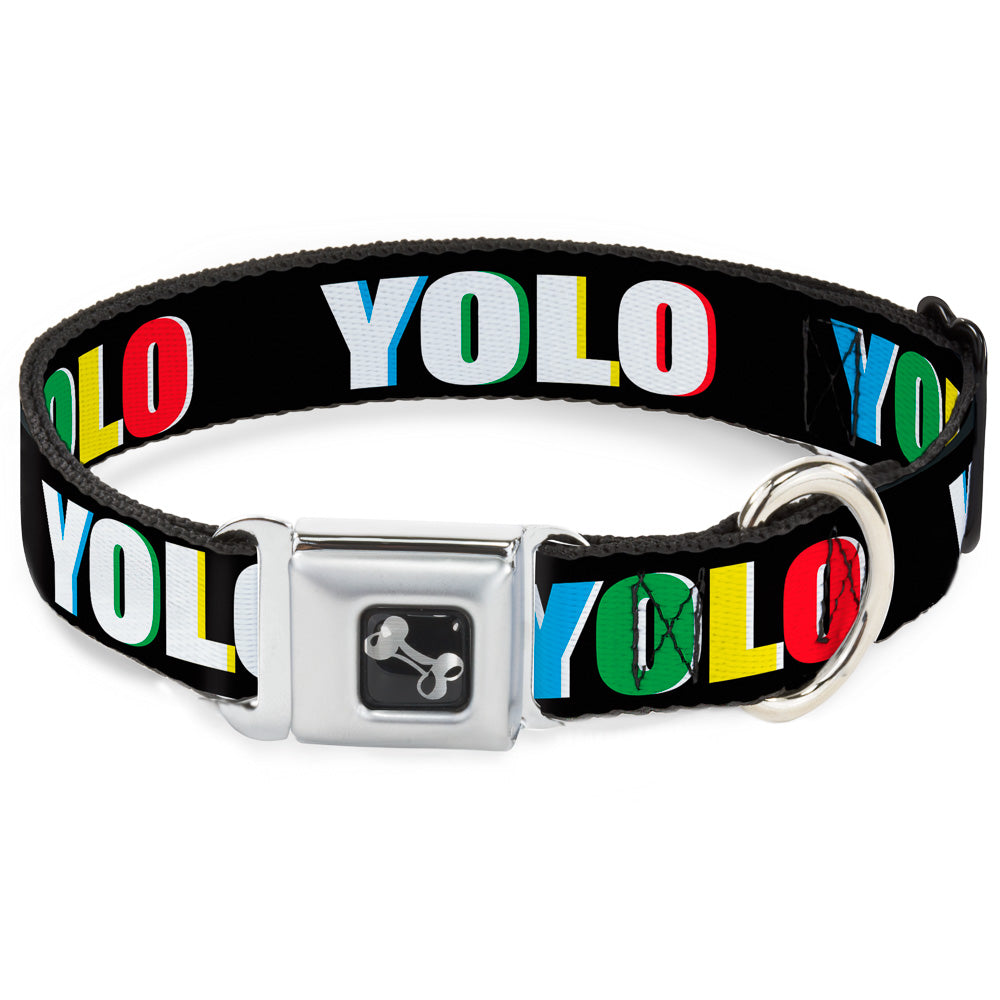 Dog Bone Seatbelt Buckle Collar - YOLO Black/Multi Color Seatbelt Buckle Collars Buckle-Down