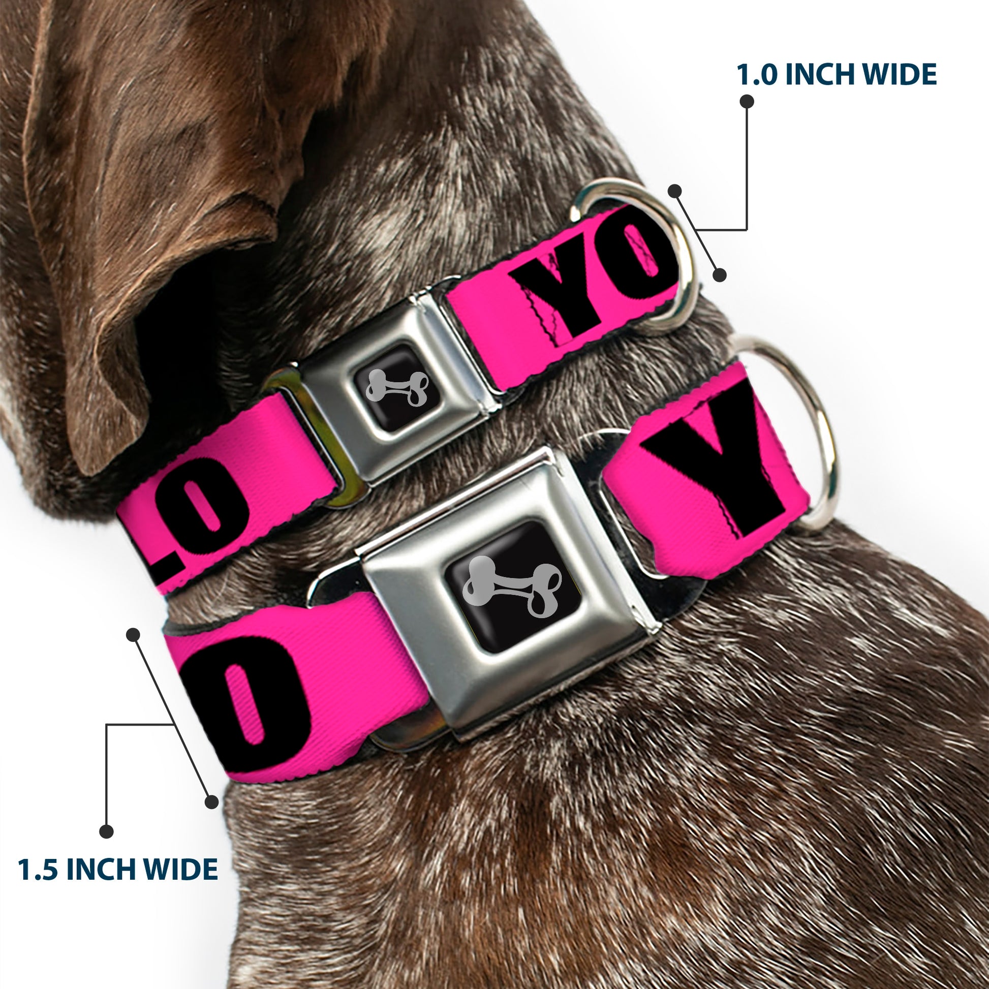 Dog Bone Seatbelt Buckle Collar - YOLO Pink/Black Seatbelt Buckle Collars Buckle-Down