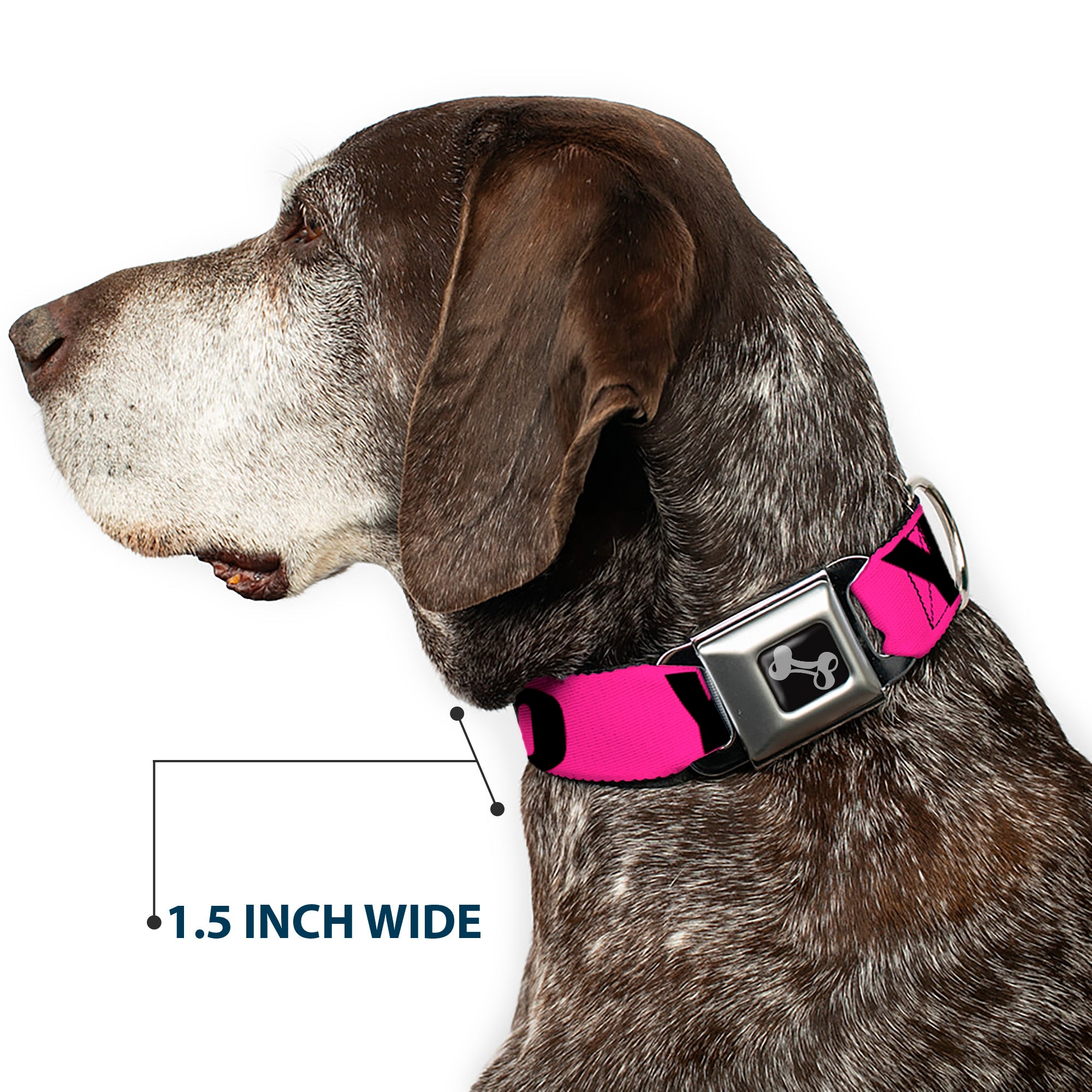Dog Bone Seatbelt Buckle Collar - YOLO Pink/Black Seatbelt Buckle Collars Buckle-Down