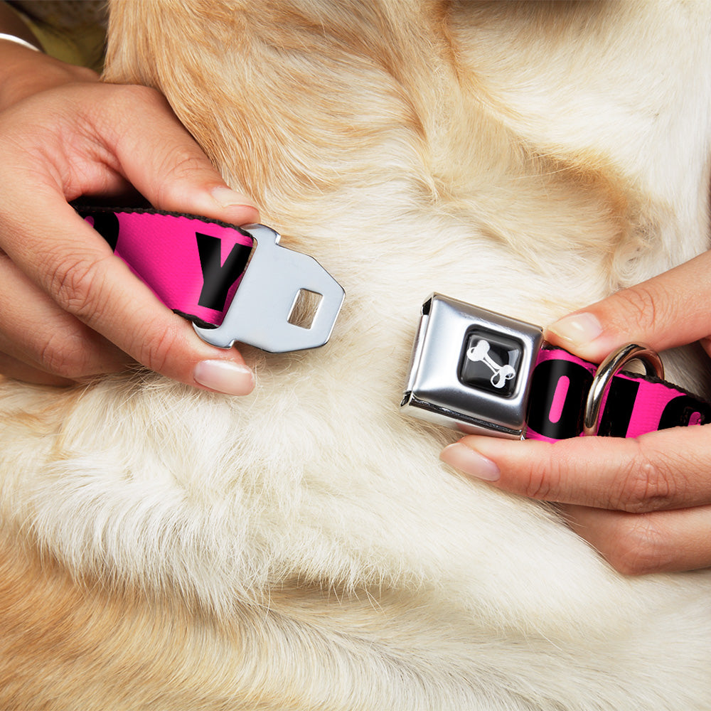 Dog Bone Seatbelt Buckle Collar - YOLO Pink/Black Seatbelt Buckle Collars Buckle-Down
