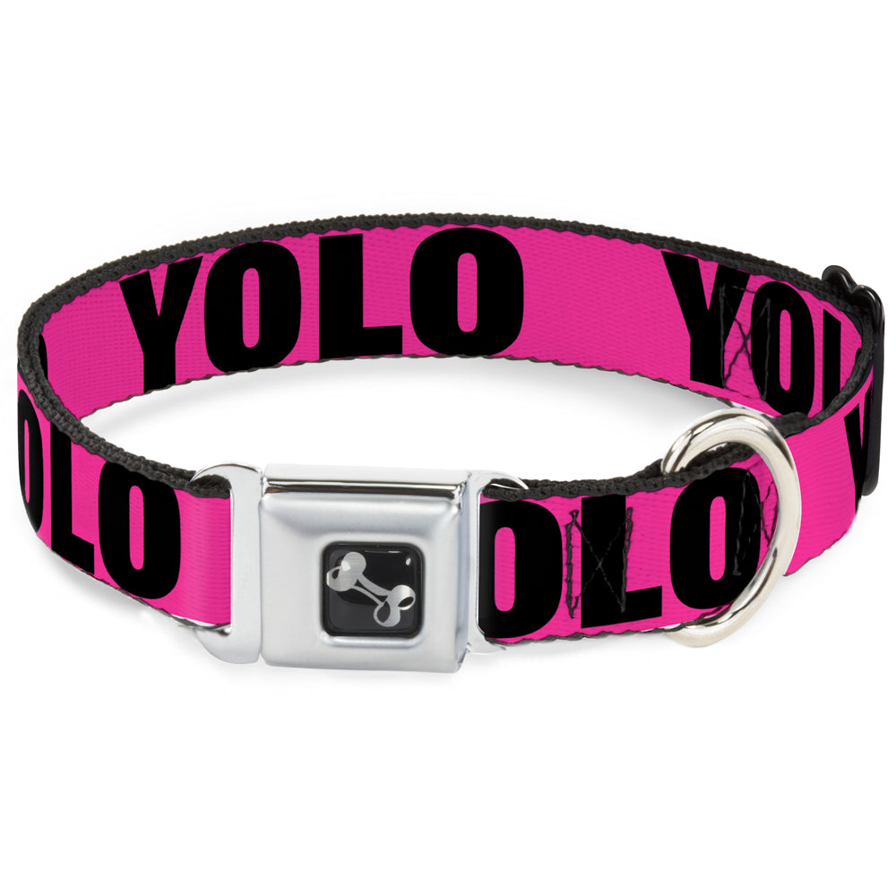 Dog Bone Seatbelt Buckle Collar - YOLO Pink/Black Seatbelt Buckle Collars Buckle-Down