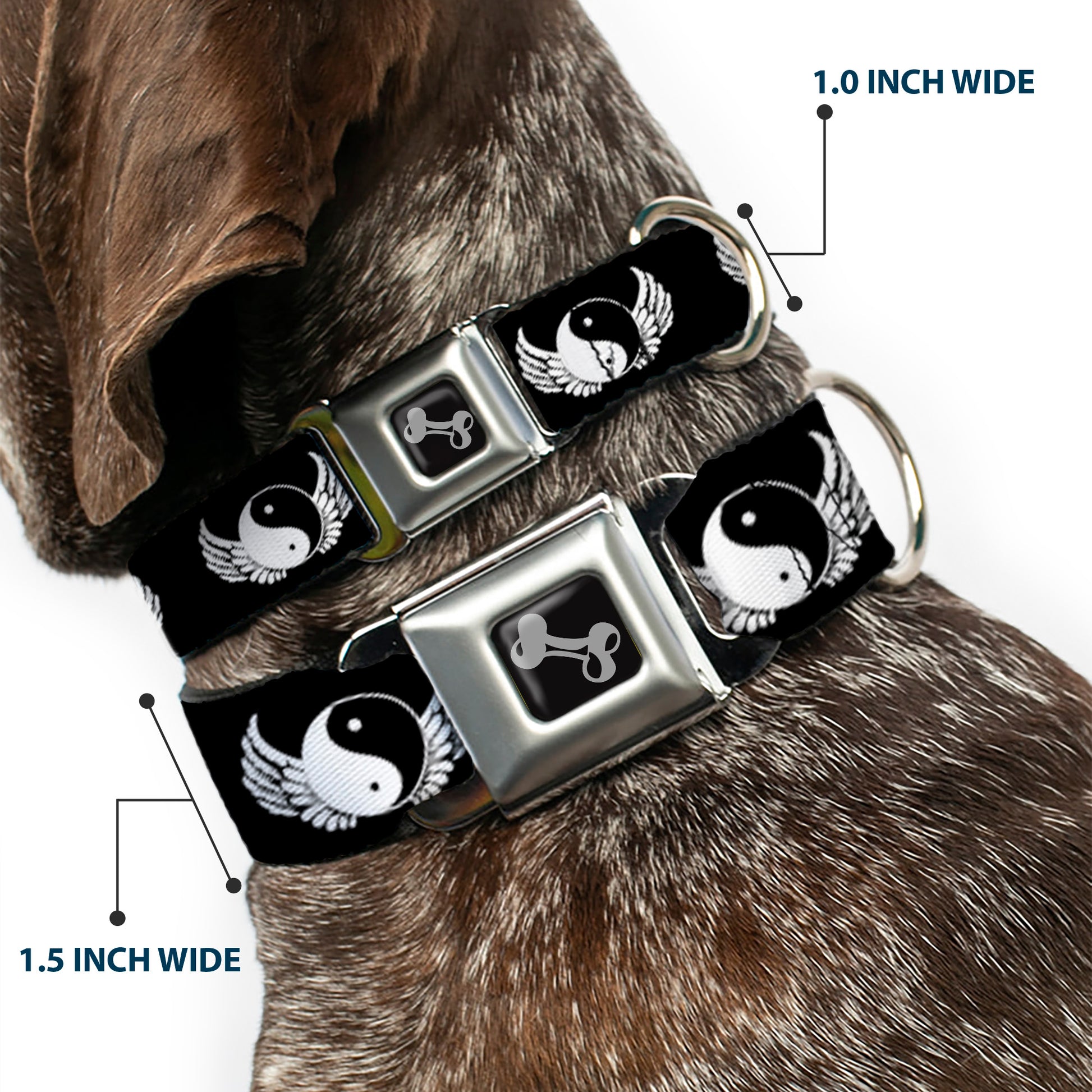 Dog Bone Seatbelt Buckle Collar - Yin Yang w/Wings Black/White Seatbelt Buckle Collars Buckle-Down