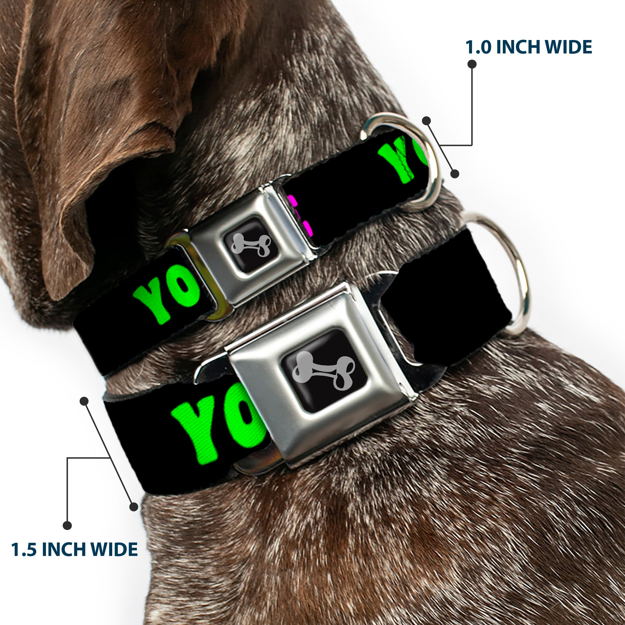 Dog Bone Seatbelt Buckle Collar - YOUR BOYFRIEND LOVES ME w/Kiss Black/Neon Seatbelt Buckle Collars Buckle-Down