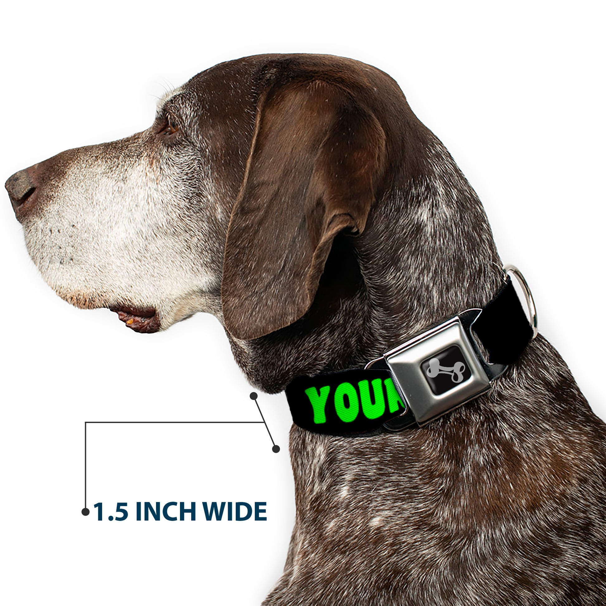 Dog Bone Seatbelt Buckle Collar - YOUR BOYFRIEND LOVES ME w/Kiss Black/Neon Seatbelt Buckle Collars Buckle-Down