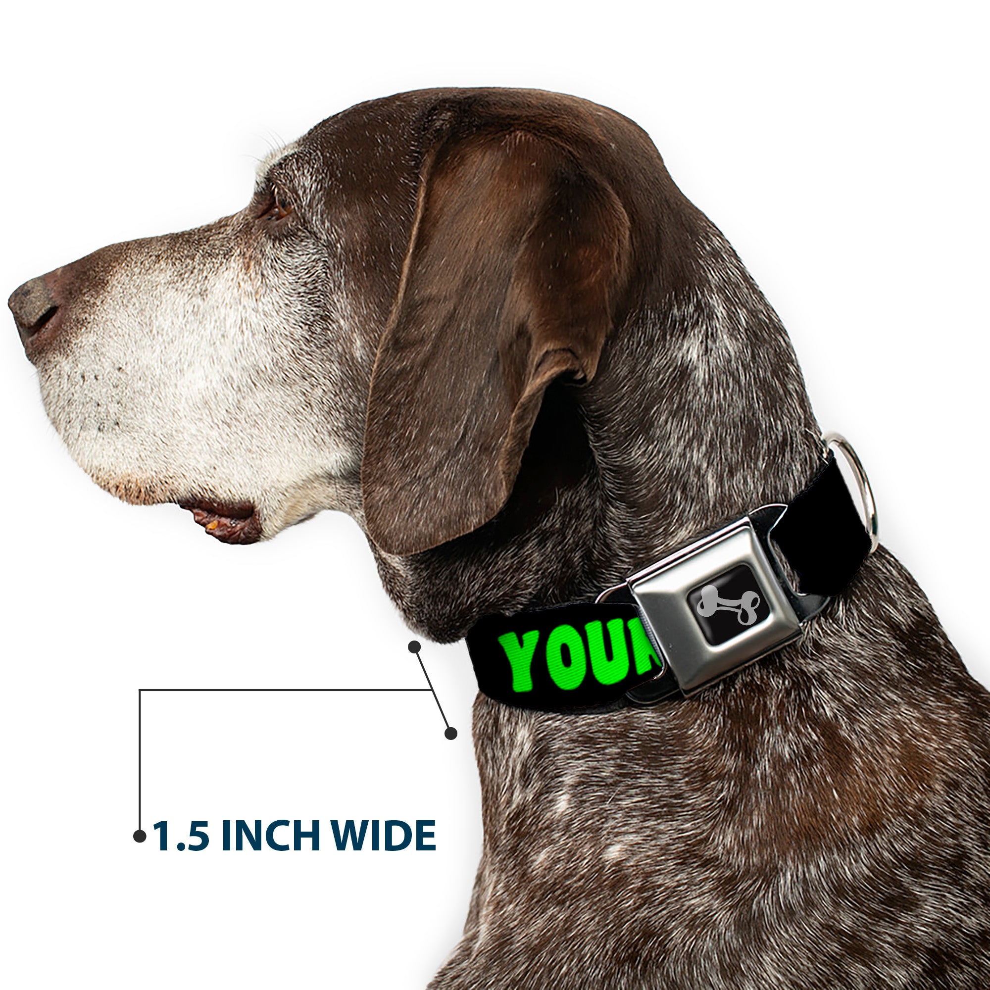 Dog Bone Seatbelt Buckle Collar - YOUR BOYFRIEND LOVES ME w/Kiss Black/Neon Seatbelt Buckle Collars Buckle-Down