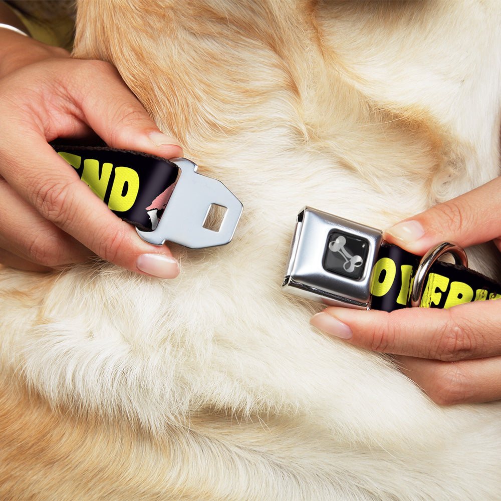 Dog Bone Seatbelt Buckle Collar - YOUR BOYFRIEND LOVES ME w/Kiss Black/Neon Seatbelt Buckle Collars Buckle-Down