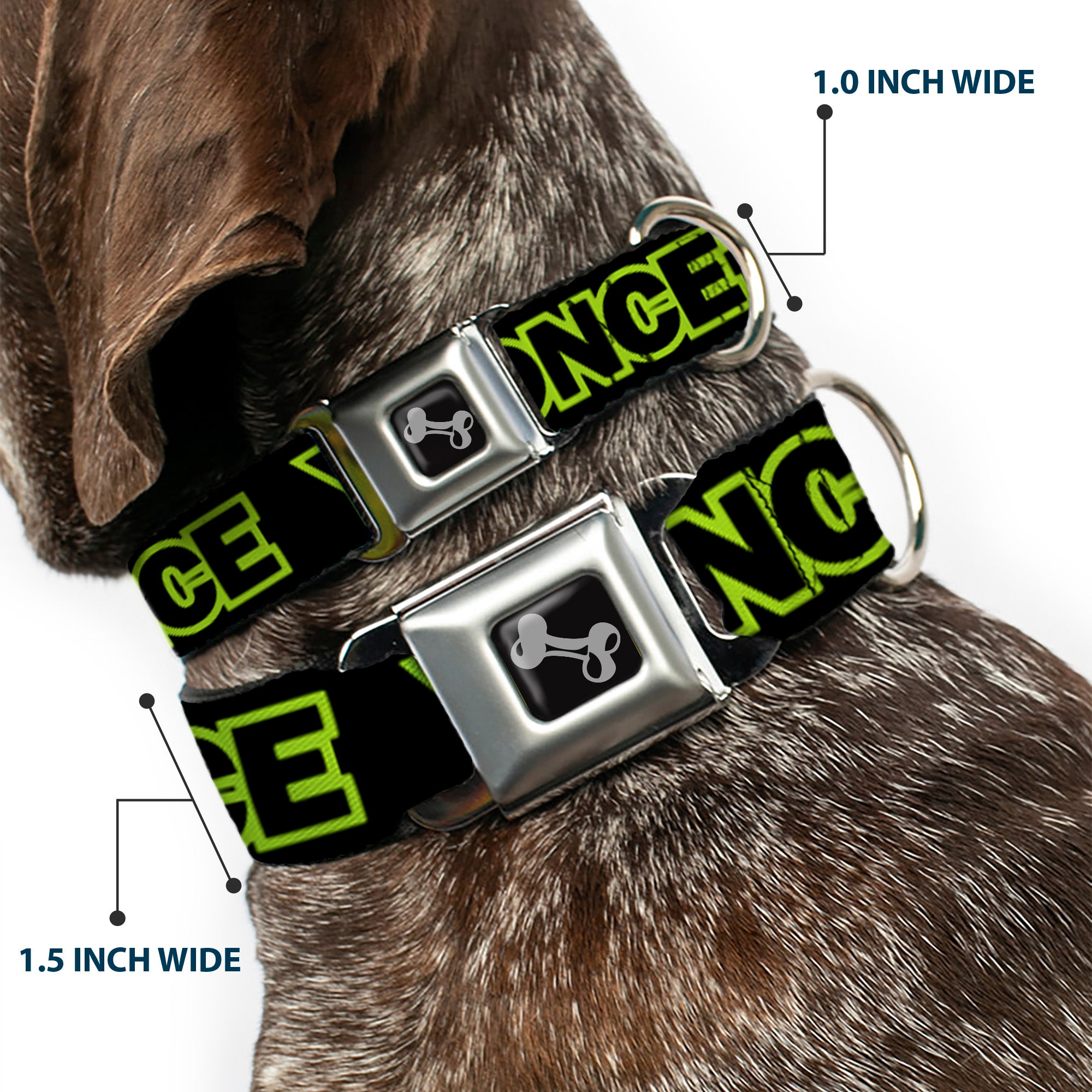 Dog Bone Seatbelt Buckle Collar - YOU ONLY LIVE ONCE Black/Neon Green Seatbelt Buckle Collars Buckle-Down