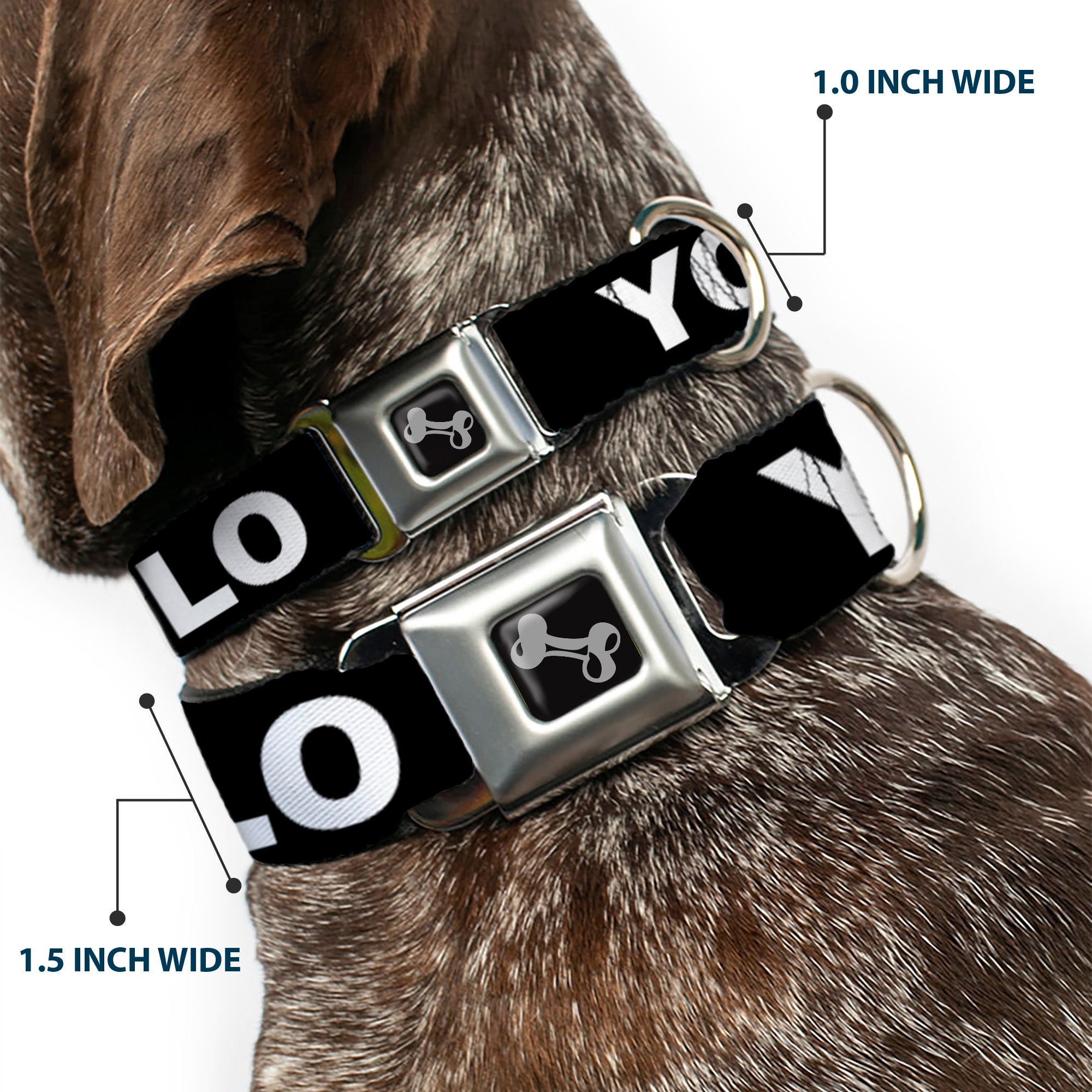 Dog Bone Seatbelt Buckle Collar - YOLO Black/White Seatbelt Buckle Collars Buckle-Down