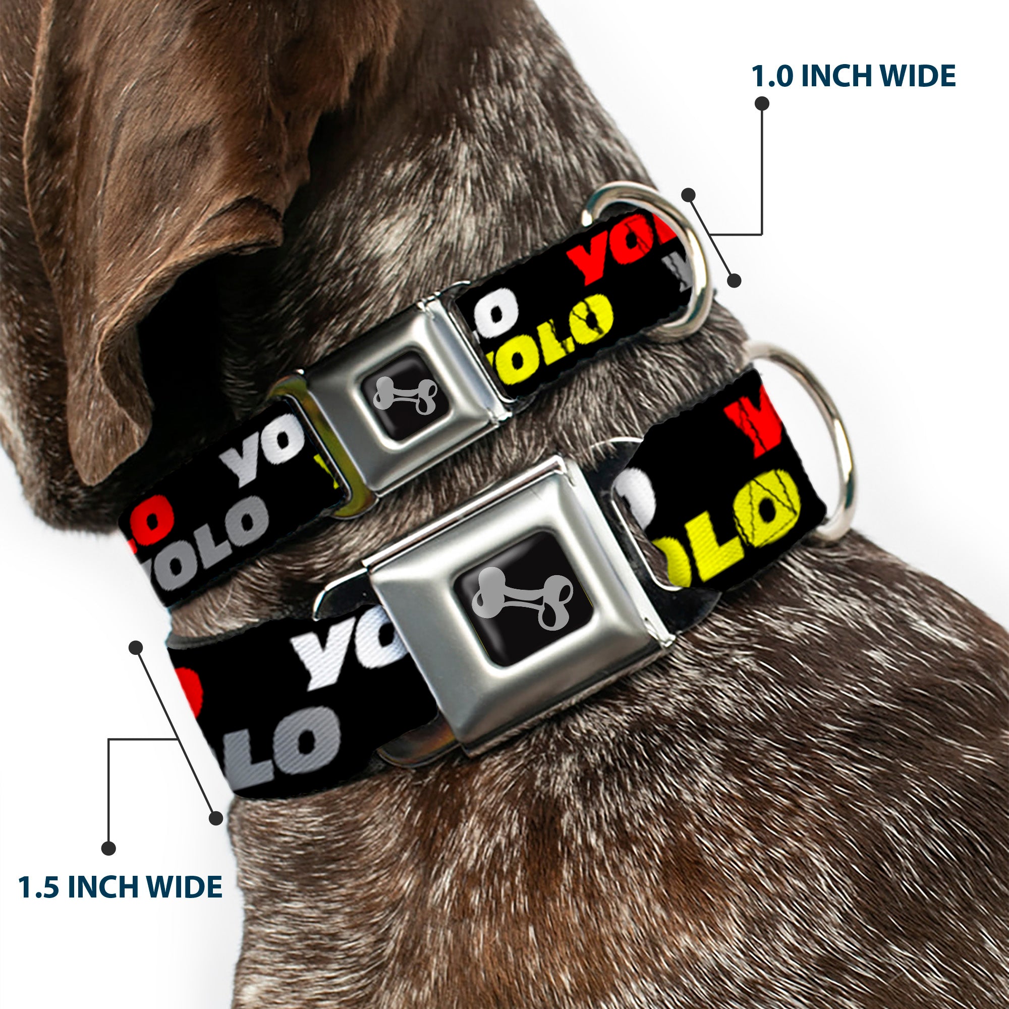 Dog Bone Seatbelt Buckle Collar - YOLO2 Black/Red/White/Gray/Yellow Seatbelt Buckle Collars Buckle-Down