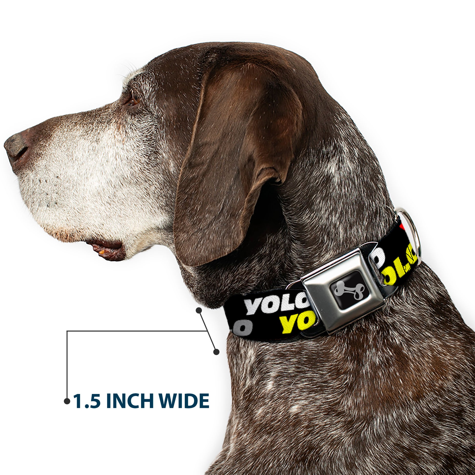 Dog Bone Seatbelt Buckle Collar - YOLO2 Black/Red/White/Gray/Yellow Seatbelt Buckle Collars Buckle-Down