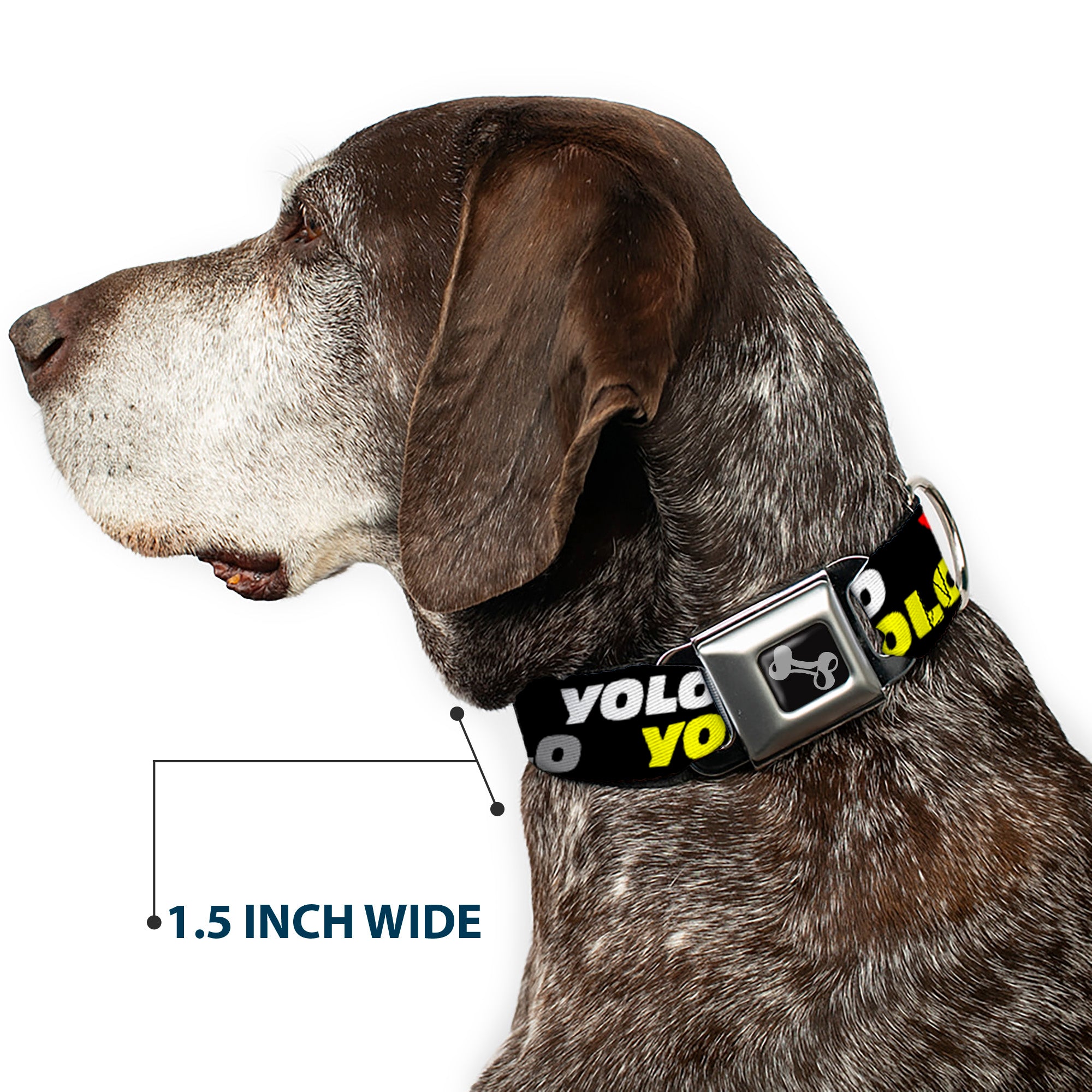 Dog Bone Seatbelt Buckle Collar - YOLO2 Black/Red/White/Gray/Yellow Seatbelt Buckle Collars Buckle-Down