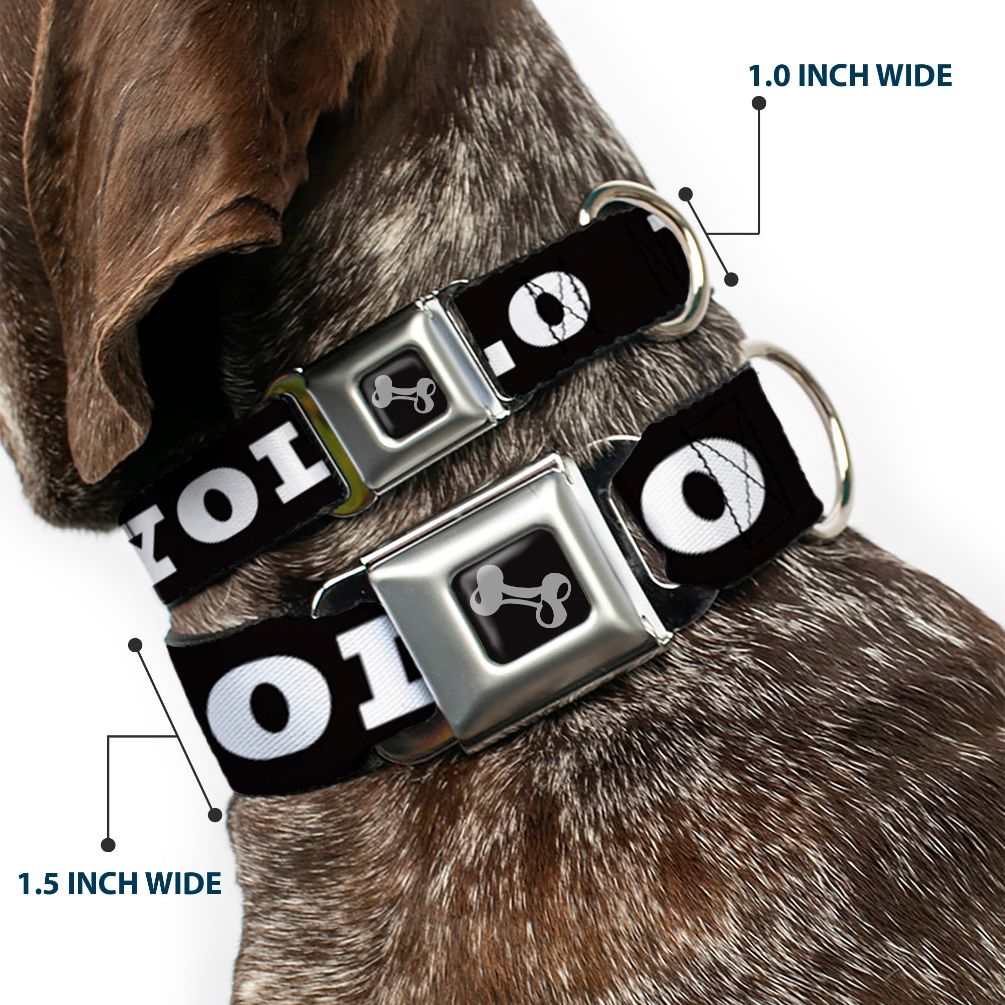 Dog Bone Seatbelt Buckle Collar - YOLO Bold Black/White Seatbelt Buckle Collars Buckle-Down