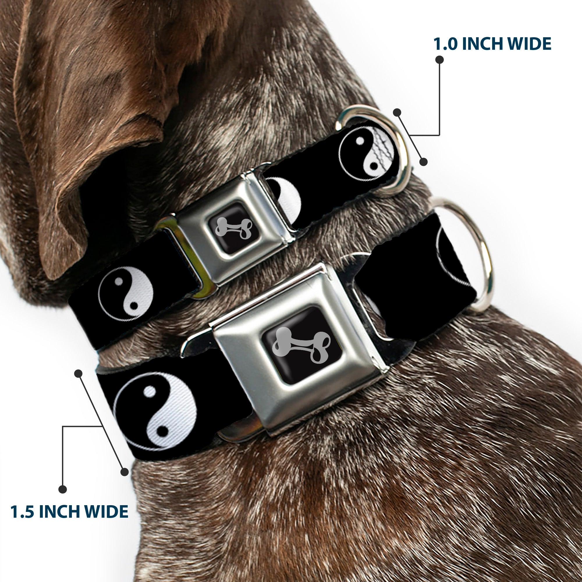 Dog Bone Seatbelt Buckle Collar - Yin Yang Symbol Black/White Seatbelt Buckle Collars Buckle-Down