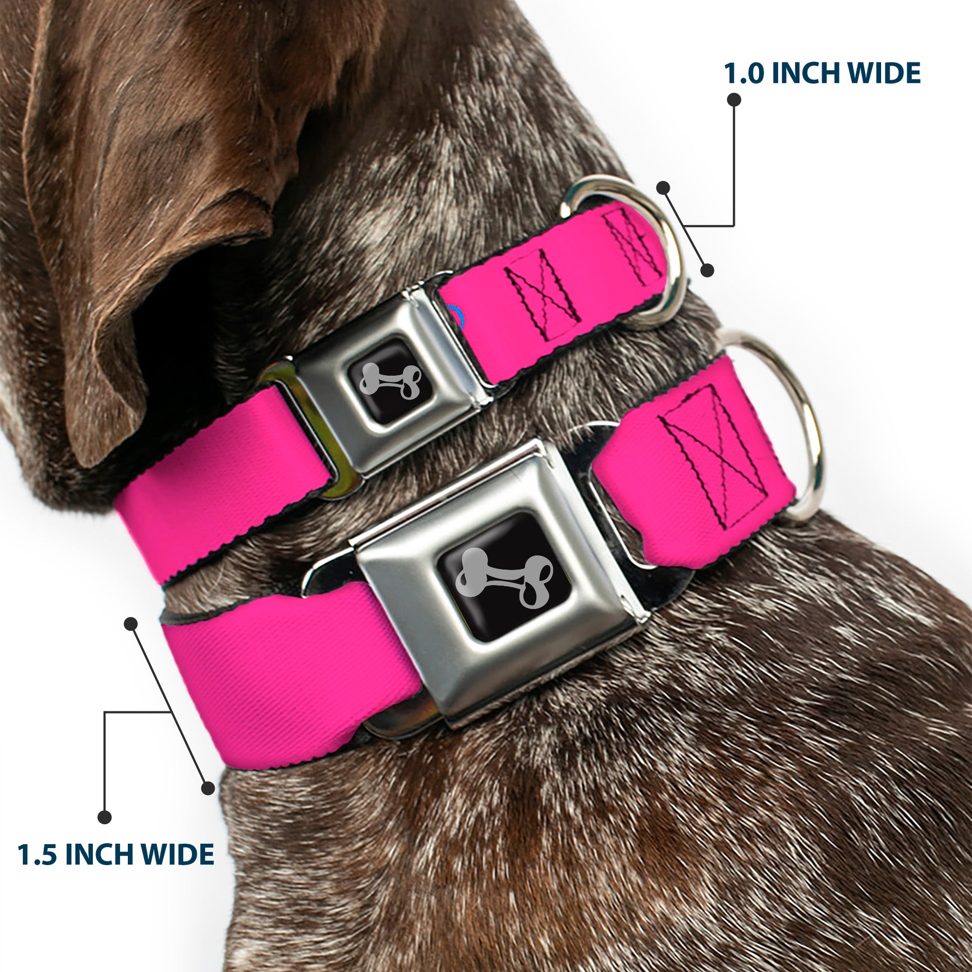 Dog Bone Seatbelt Buckle Collar - YOUNG WILD AND FREE Pink/White/Blue/Yellow/Green Seatbelt Buckle Collars Buckle-Down