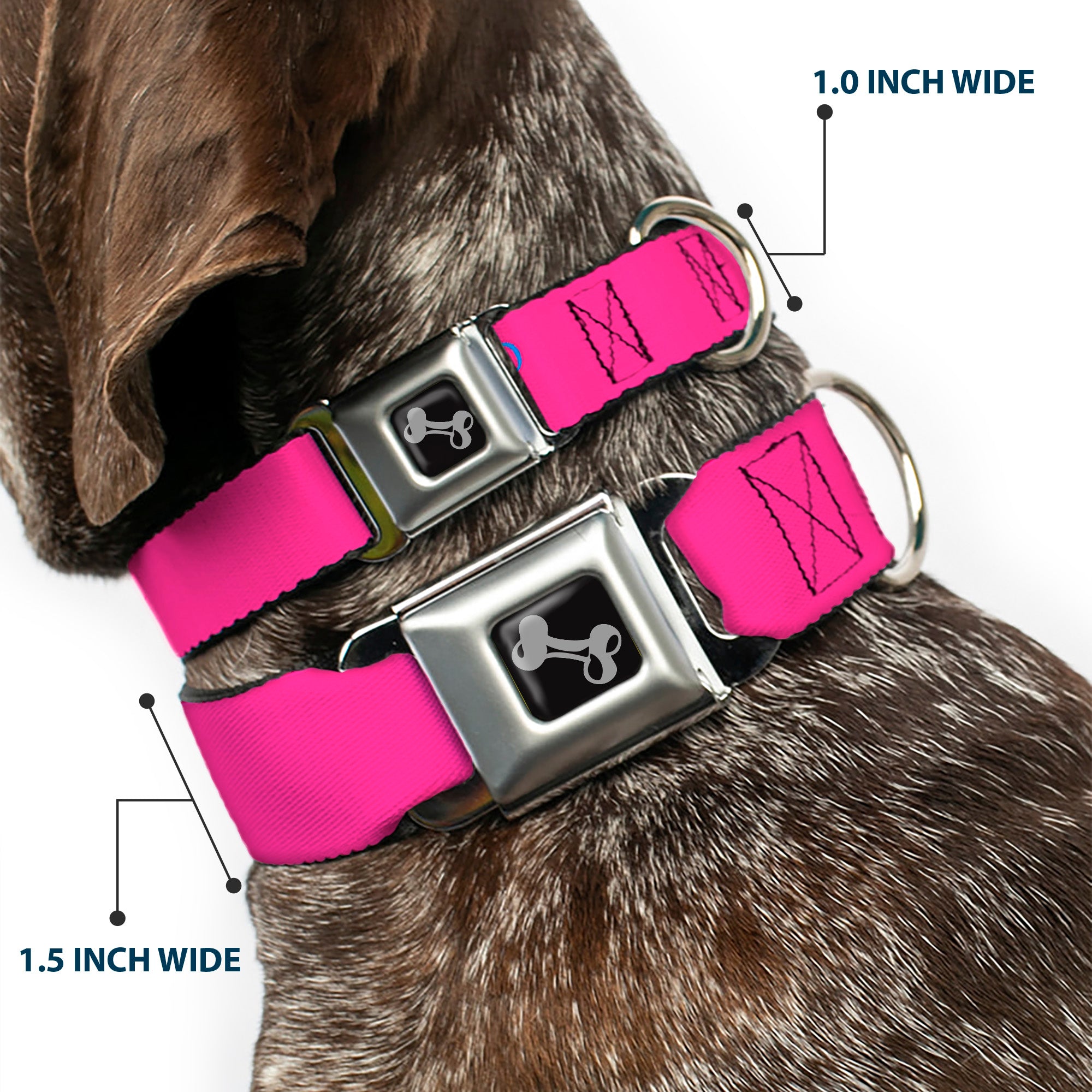 Dog Bone Seatbelt Buckle Collar - YOUNG WILD AND FREE Pink/White/Blue/Yellow/Green Seatbelt Buckle Collars Buckle-Down