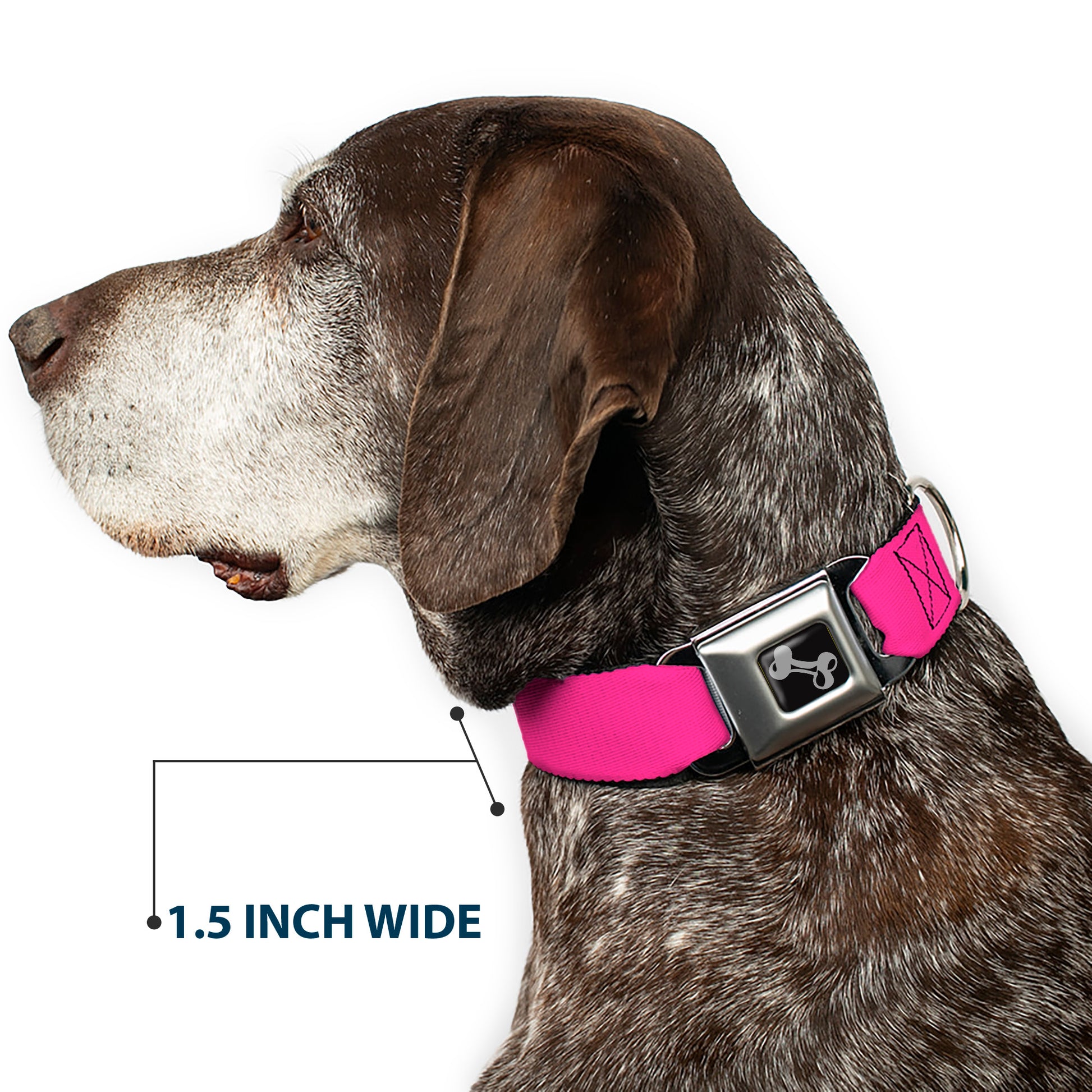 Dog Bone Seatbelt Buckle Collar - YOUNG WILD AND FREE Pink/White/Blue/Yellow/Green Seatbelt Buckle Collars Buckle-Down