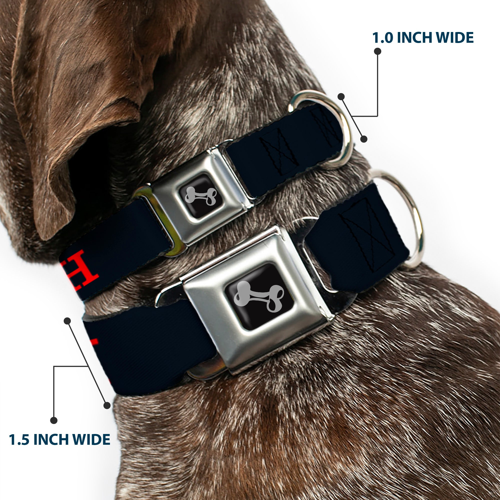 Dog Bone Black/Silver Seatbelt Buckle Collar - YAHWEH Text Navy Blue/Red Seatbelt Buckle Collars Buckle-Down