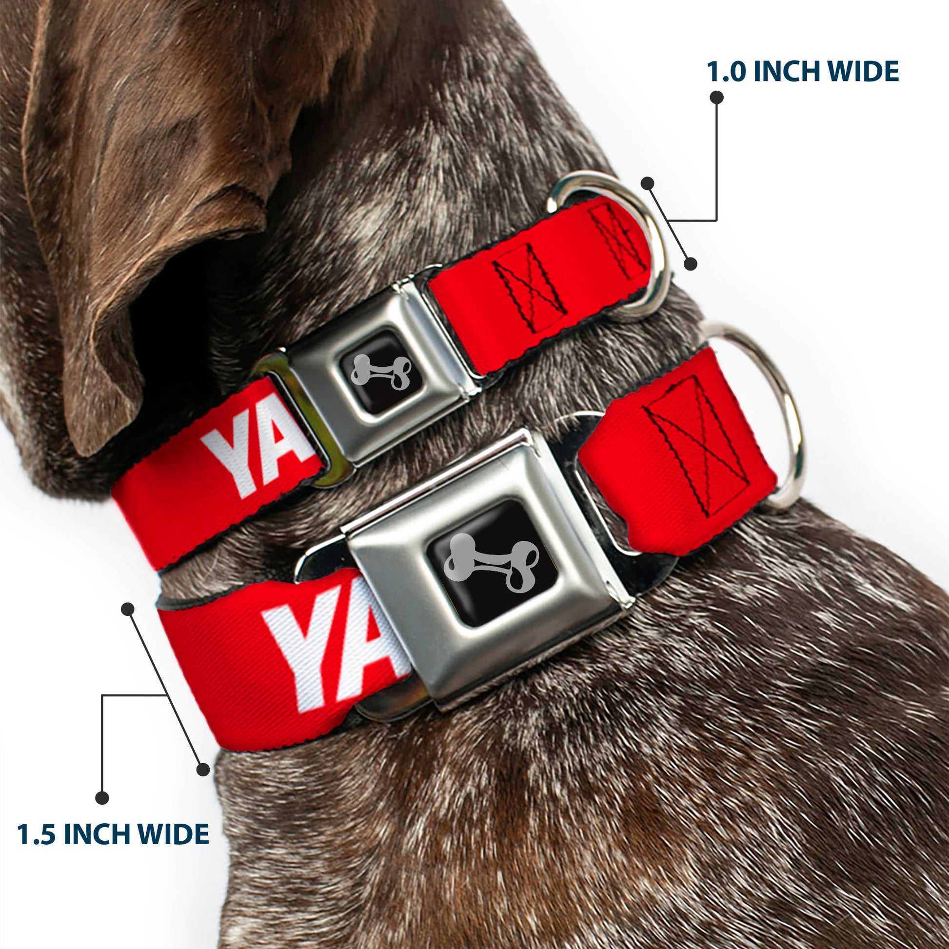 Dog Bone Black/Silver Seatbelt Buckle Collar - YAHWEH Text Red/White Seatbelt Buckle Collars Buckle-Down