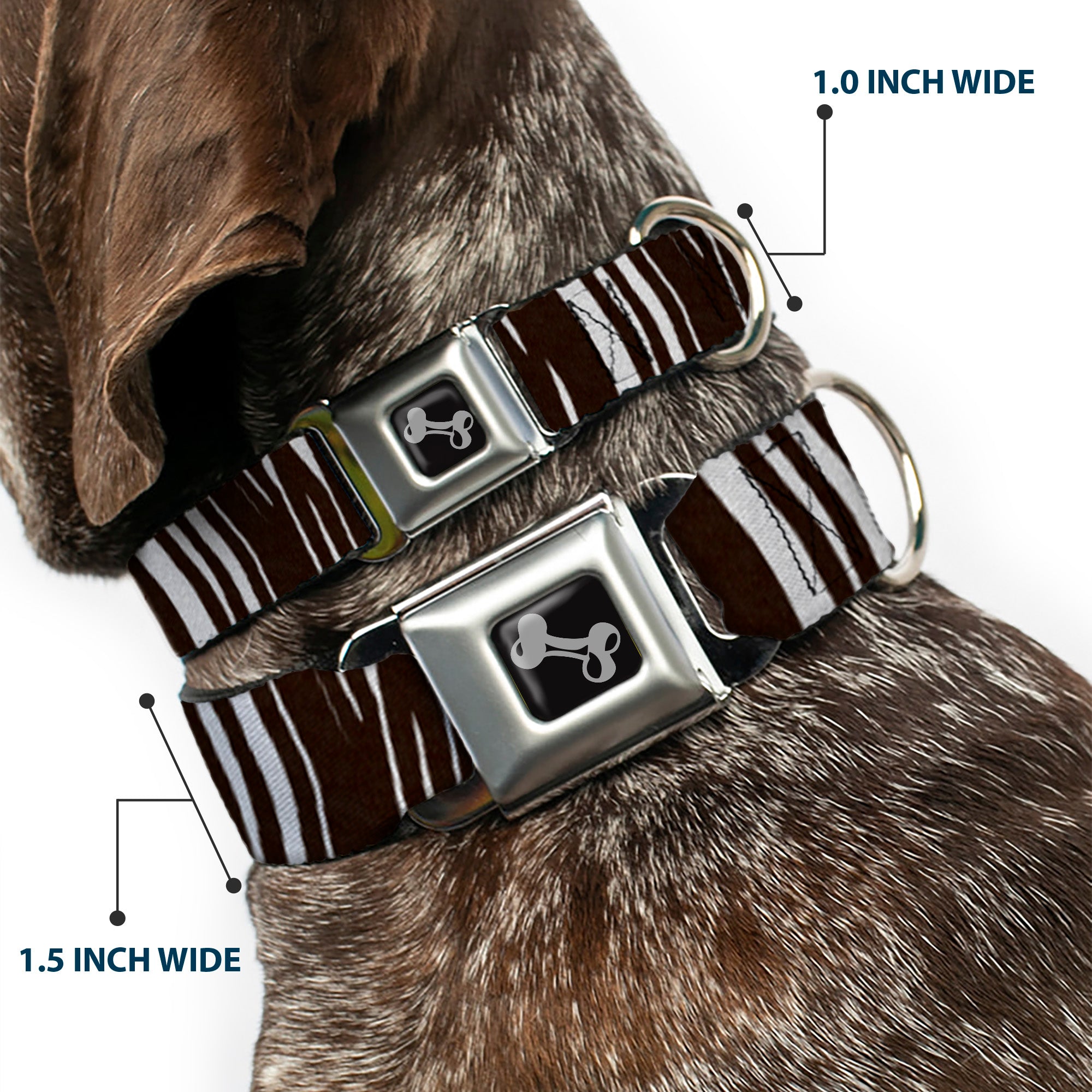 Dog Bone Seatbelt Buckle Collar - Zebra Seatbelt Buckle Collars Buckle-Down