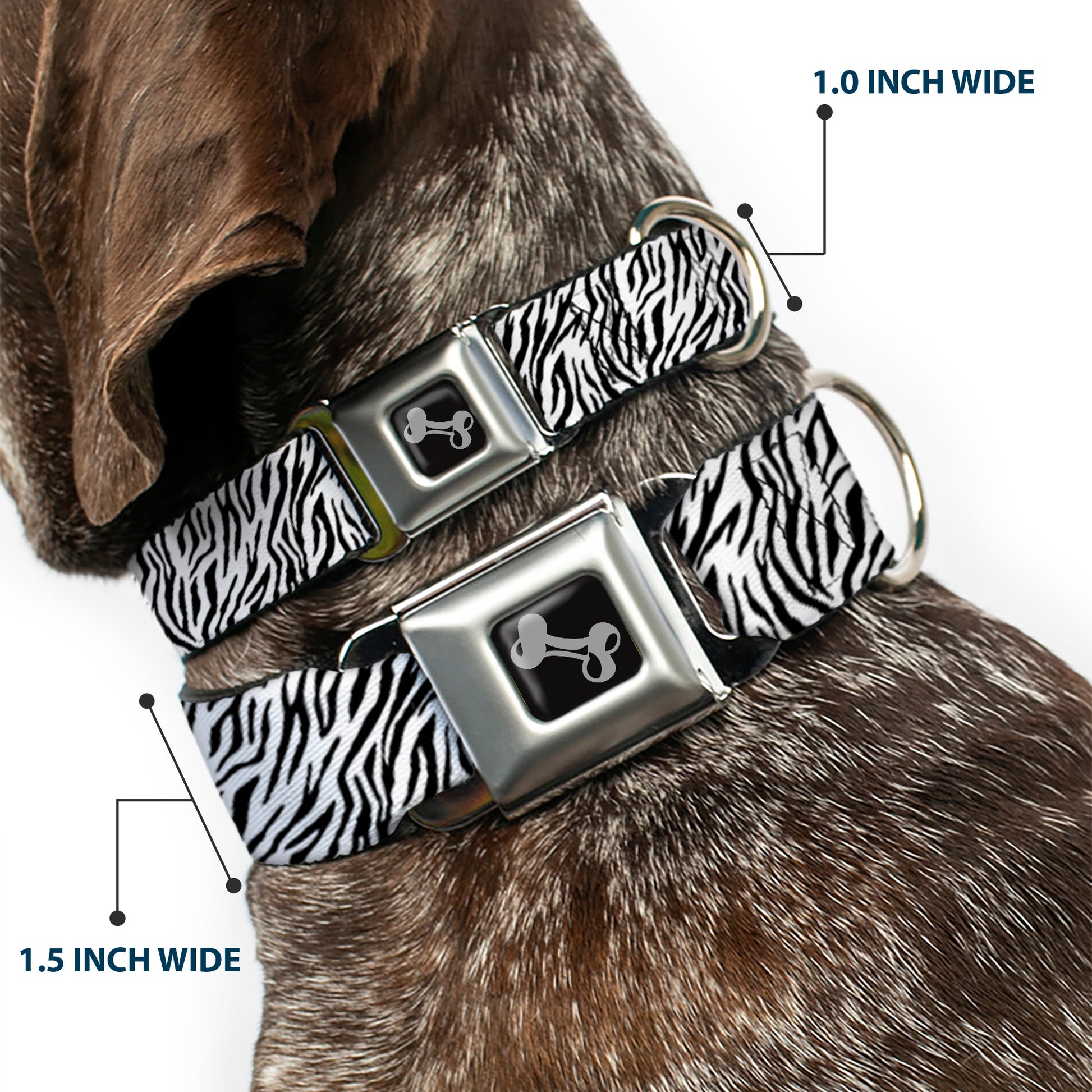 Dog Bone Seatbelt Buckle Collar - Zebra 2 White Seatbelt Buckle Collars Buckle-Down