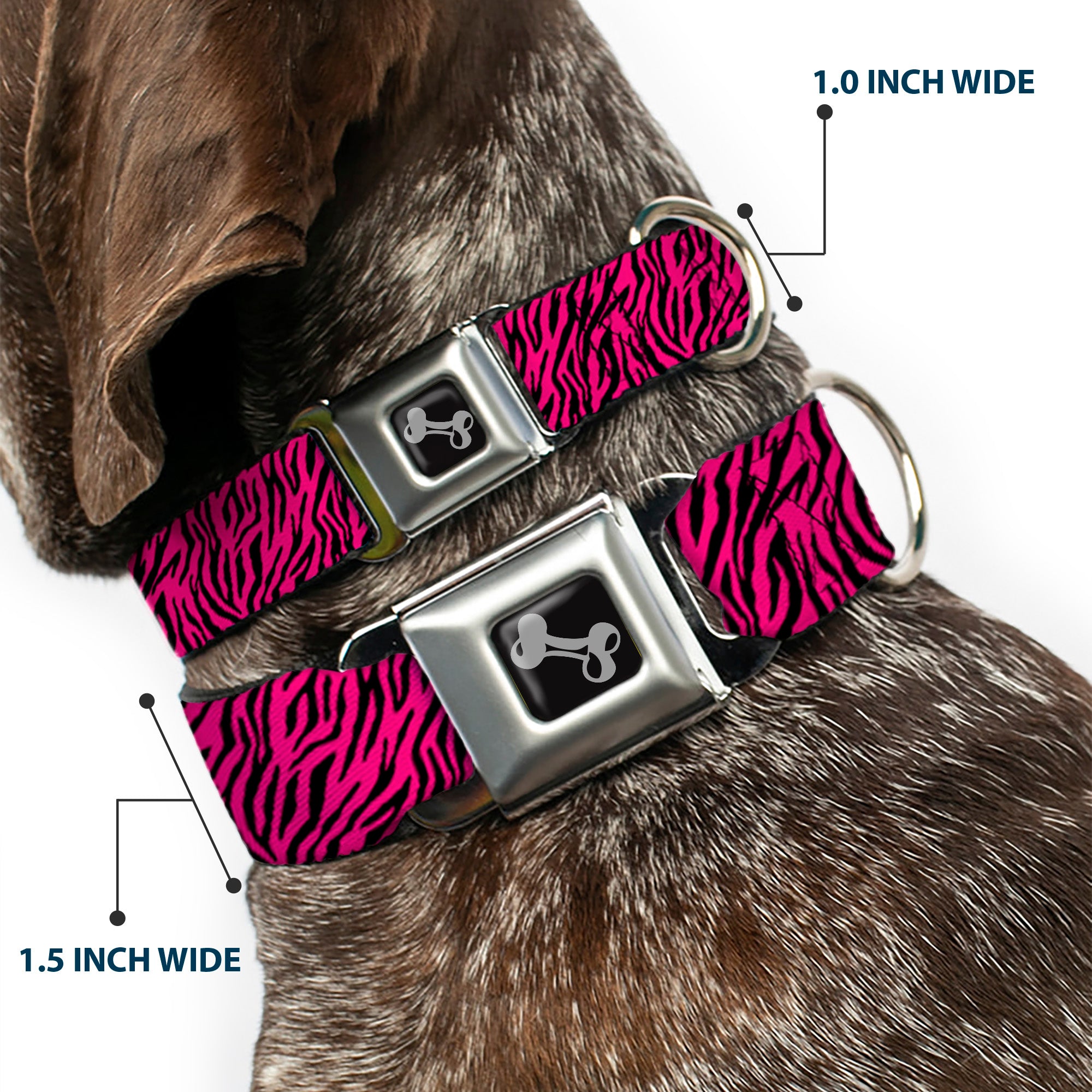 Dog Bone Seatbelt Buckle Collar - Zebra 2 Fuchsia Pink Seatbelt Buckle Collars Buckle-Down
