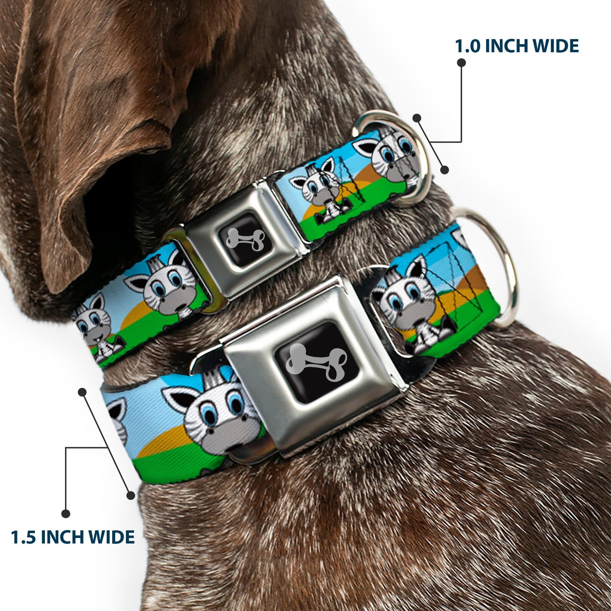 Dog Bone Seatbelt Buckle Collar - Zebra Cartoon Seatbelt Buckle Collars Buckle-Down