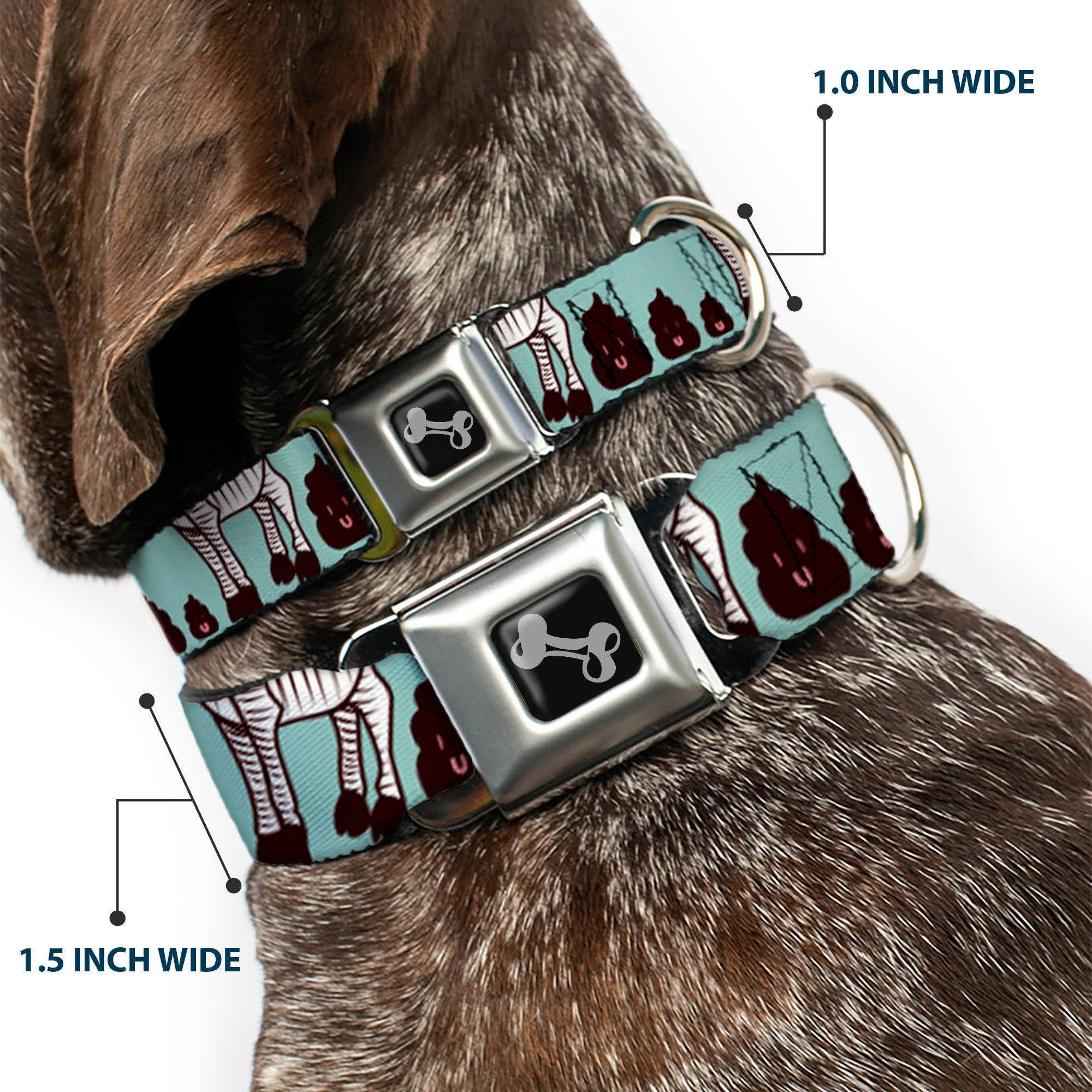 Dog Bone Seatbelt Buckle Collar - Zebra Poops Color Seatbelt Buckle Collars Buckle-Down