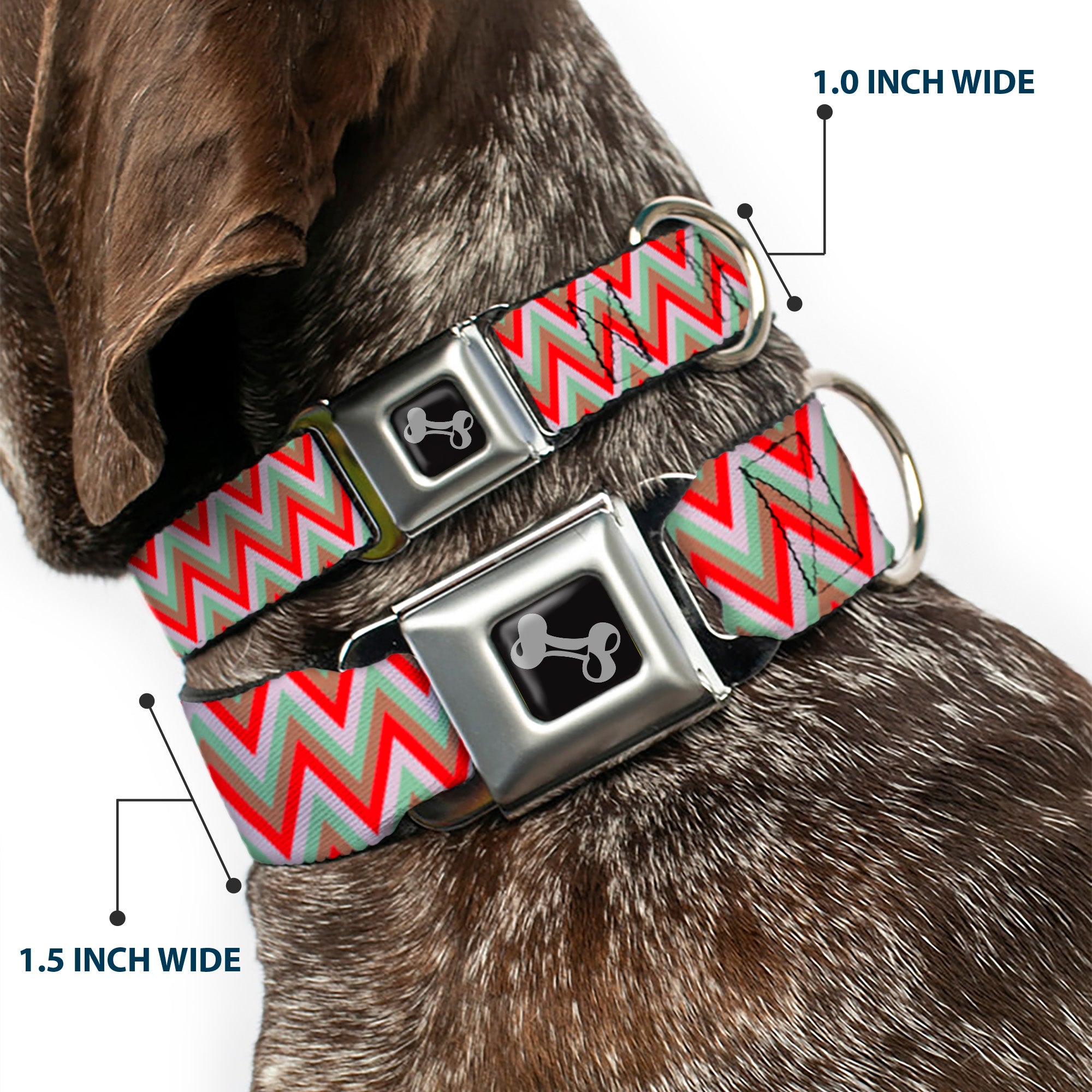 Dog Bone Seatbelt Buckle Collar - Zig Zag White/Tan/Gray/Red Seatbelt Buckle Collars Buckle-Down