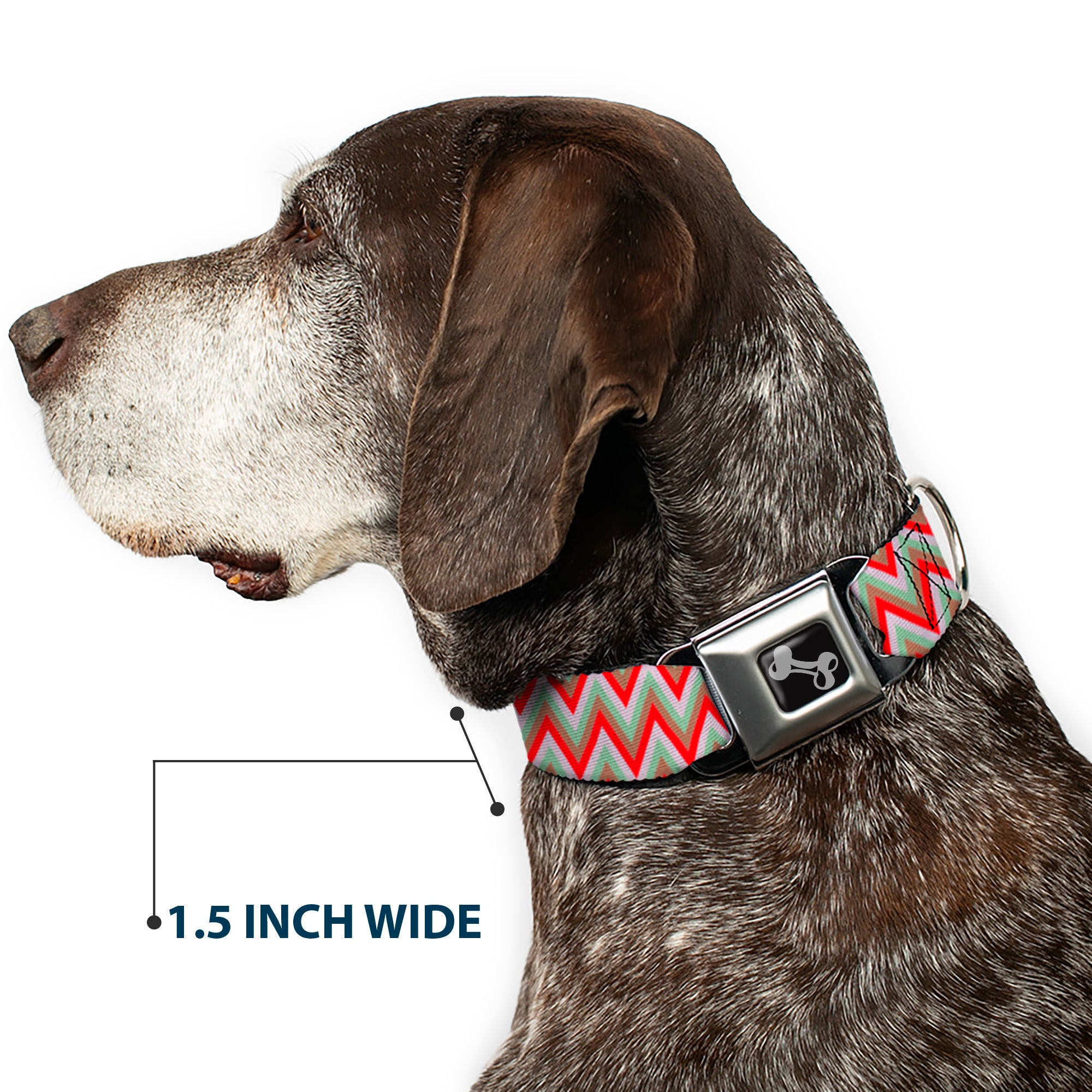 Dog Bone Seatbelt Buckle Collar - Zig Zag White/Tan/Gray/Red Seatbelt Buckle Collars Buckle-Down