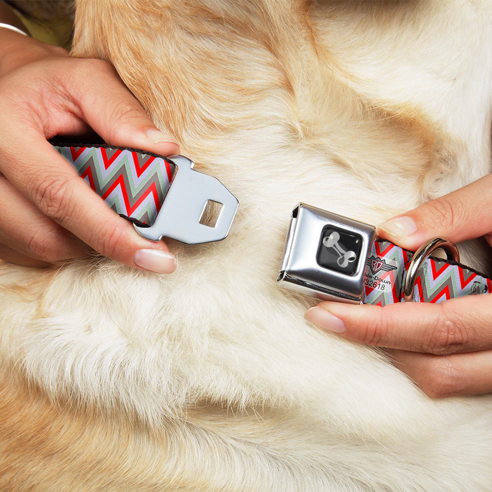 Dog Bone Seatbelt Buckle Collar - Zig Zag White/Tan/Gray/Red Seatbelt Buckle Collars Buckle-Down