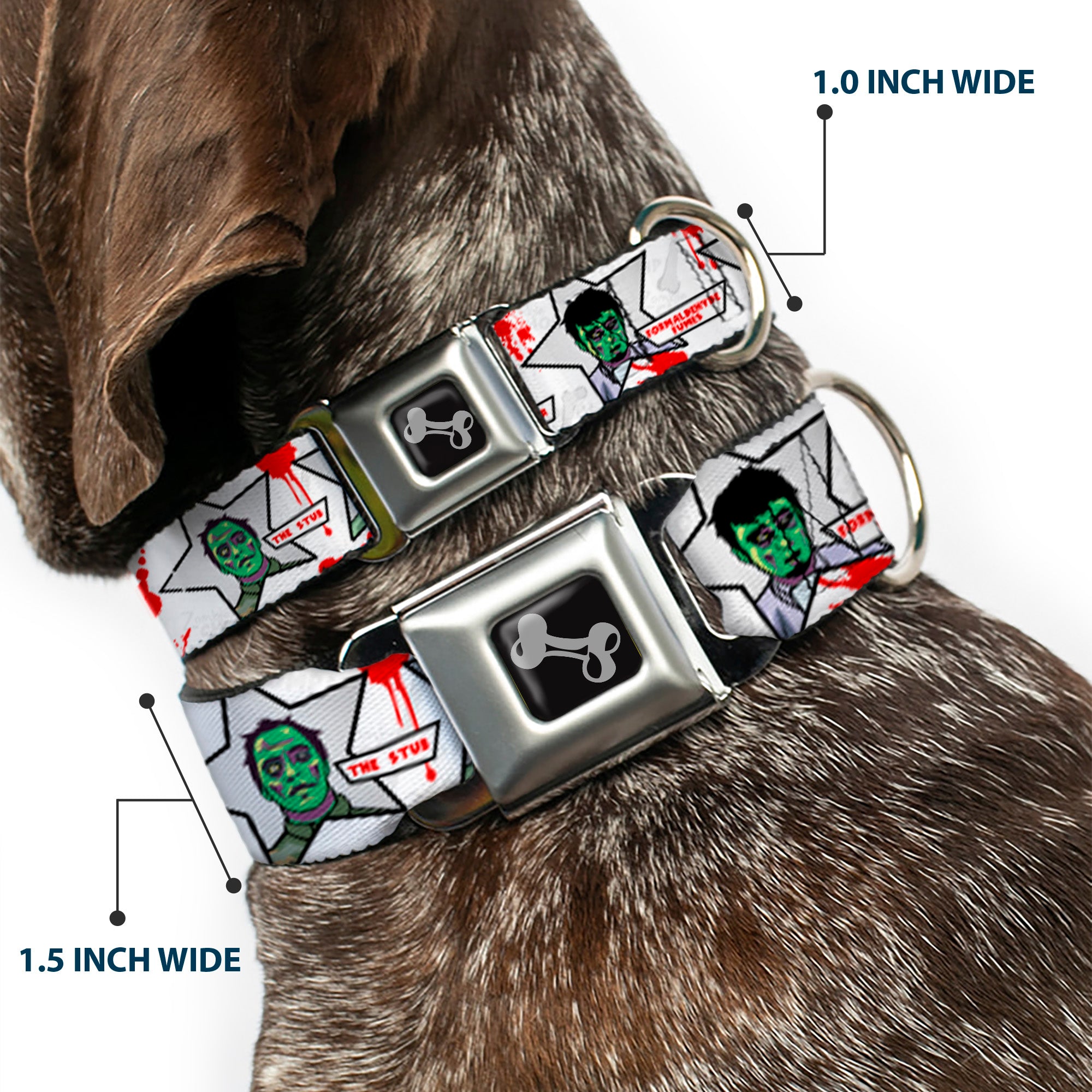 Dog Bone Seatbelt Buckle Collar - Zombie CHOMP! Seatbelt Buckle Collars Buckle-Down