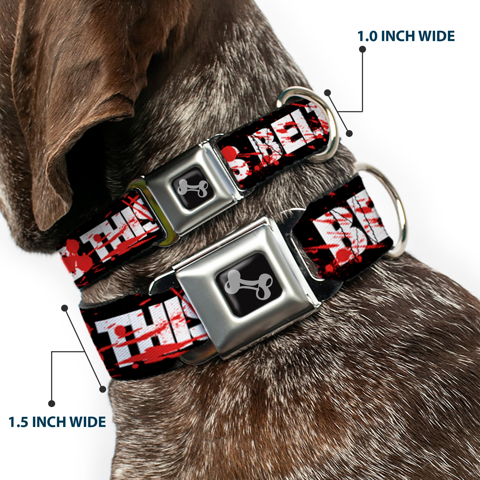 Dog Bone Seatbelt Buckle Collar - ZOMBIES RUINED THIS BELT Black/White/Red Splatter Seatbelt Buckle Collars Buckle-Down