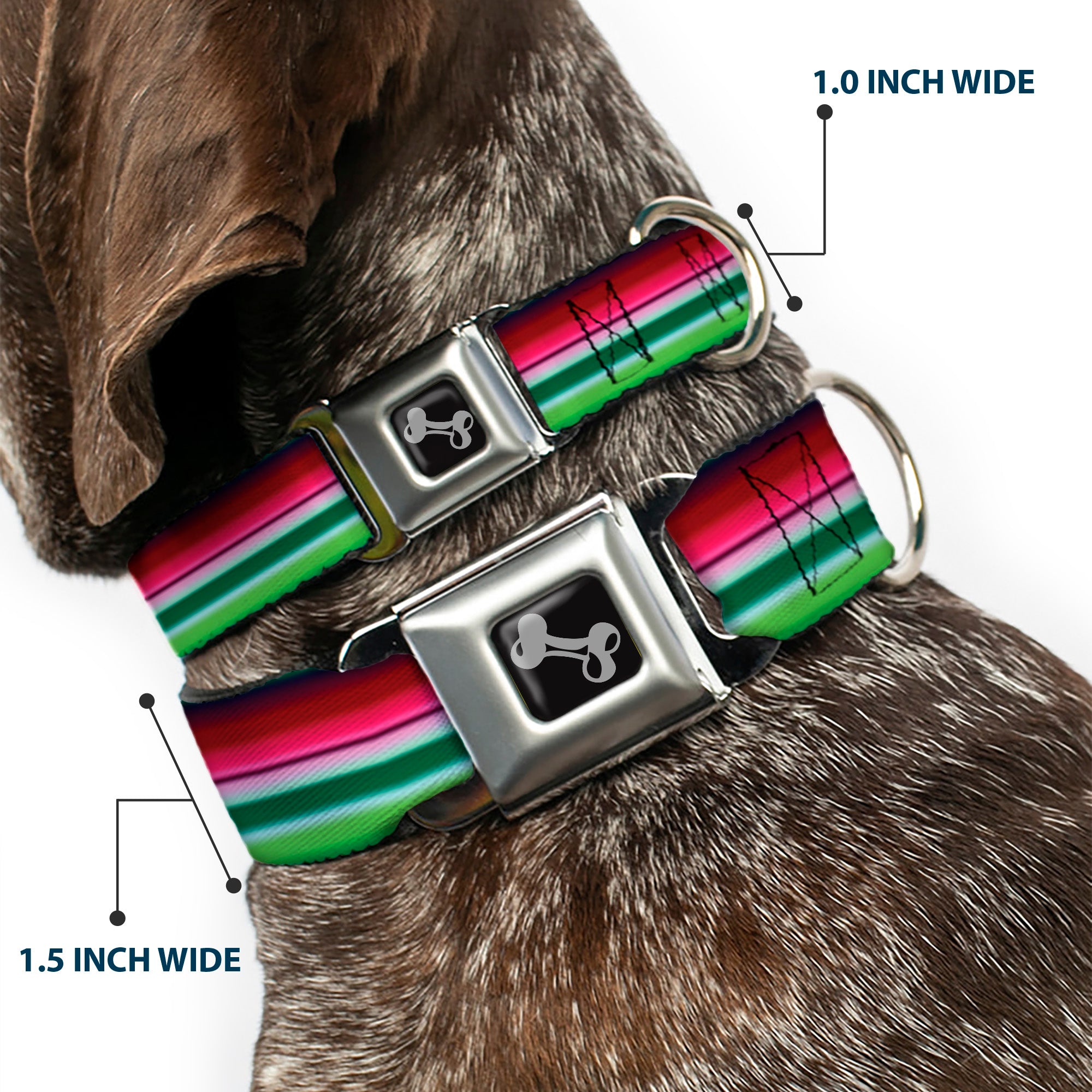 Dog Bone Seatbelt Buckle Collar - Zarape1 Horizontal Red/White/Green Seatbelt Buckle Collars Buckle-Down